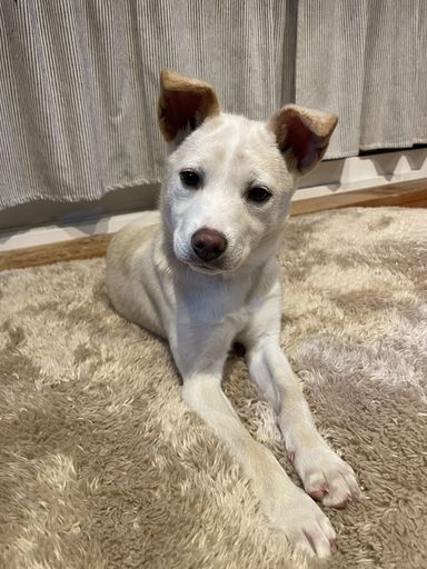 うみの写真