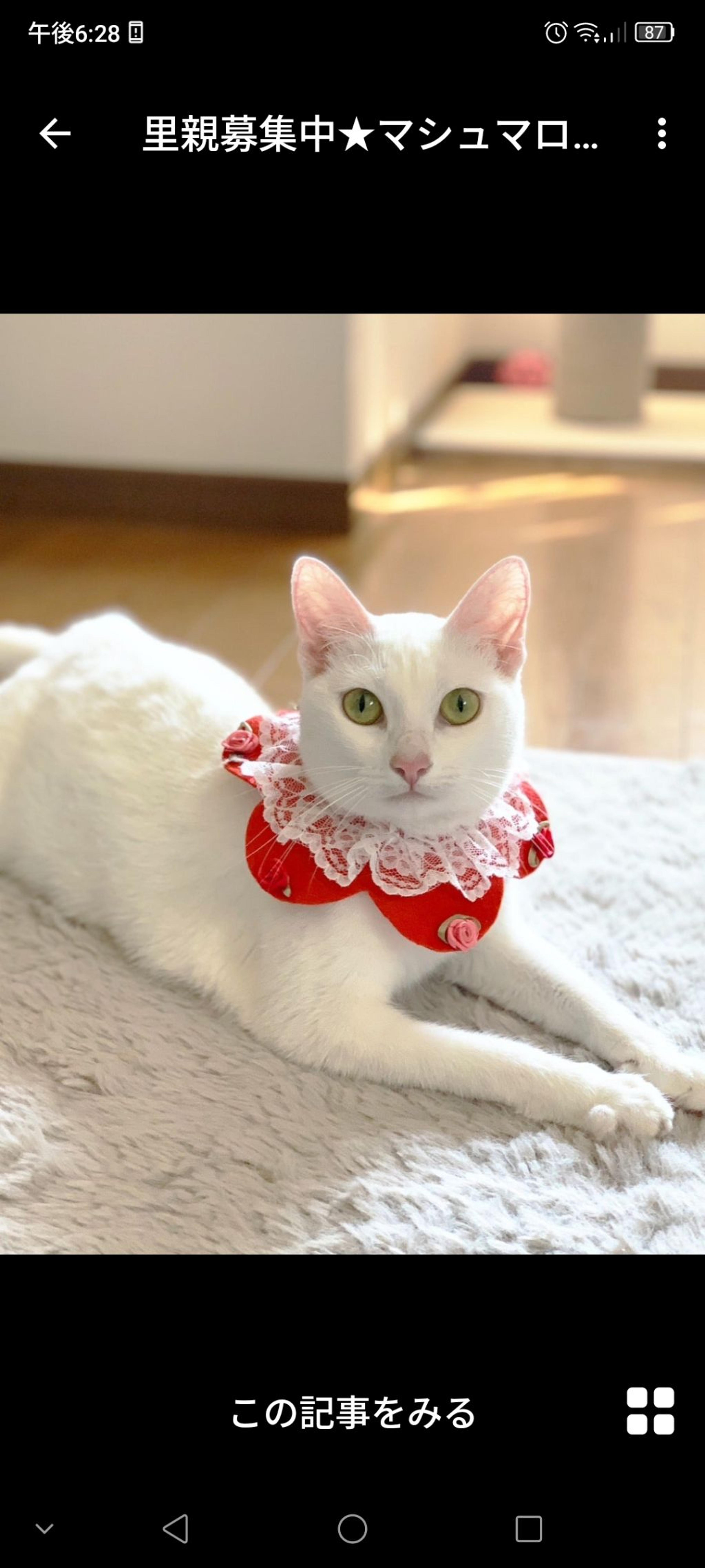 pet-image-3