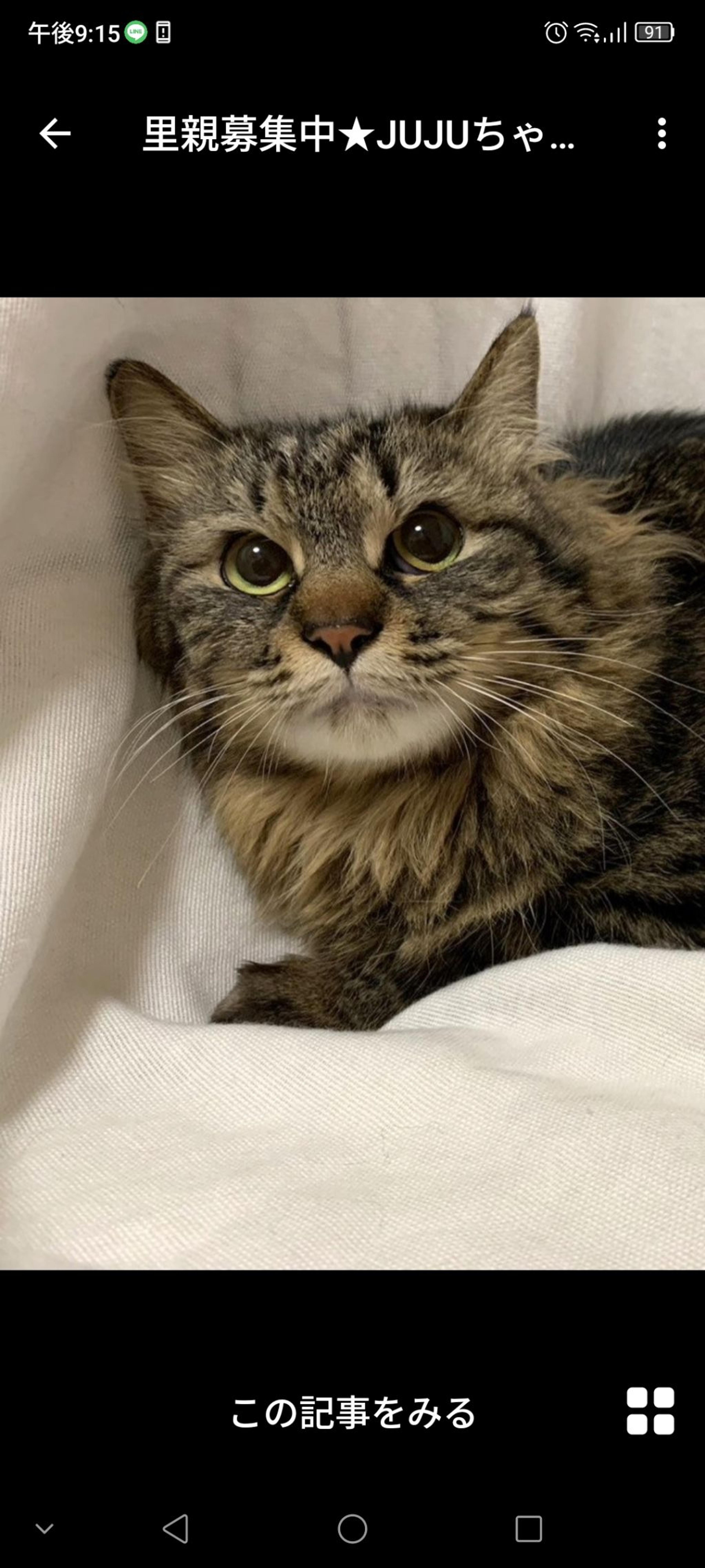 pet-image-2