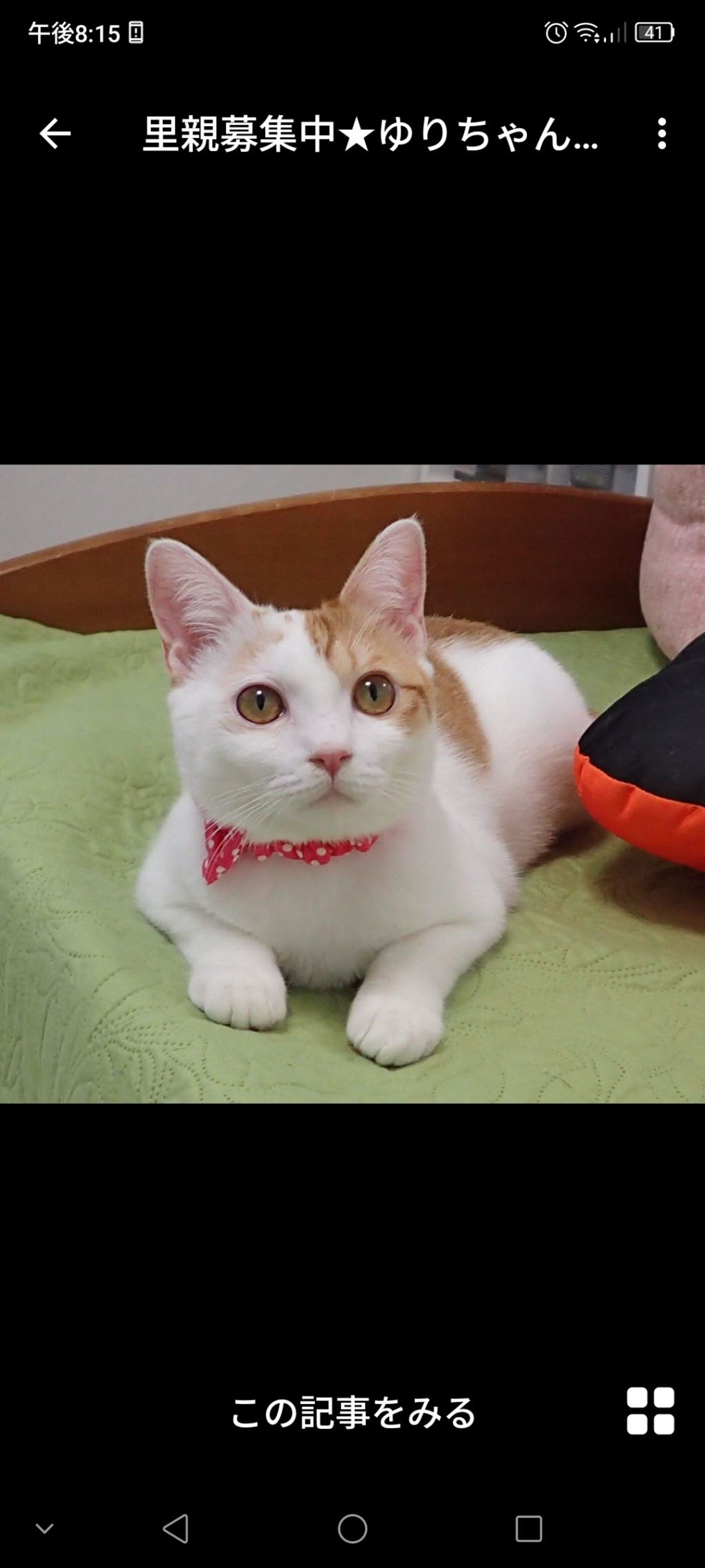 thumbnail-2