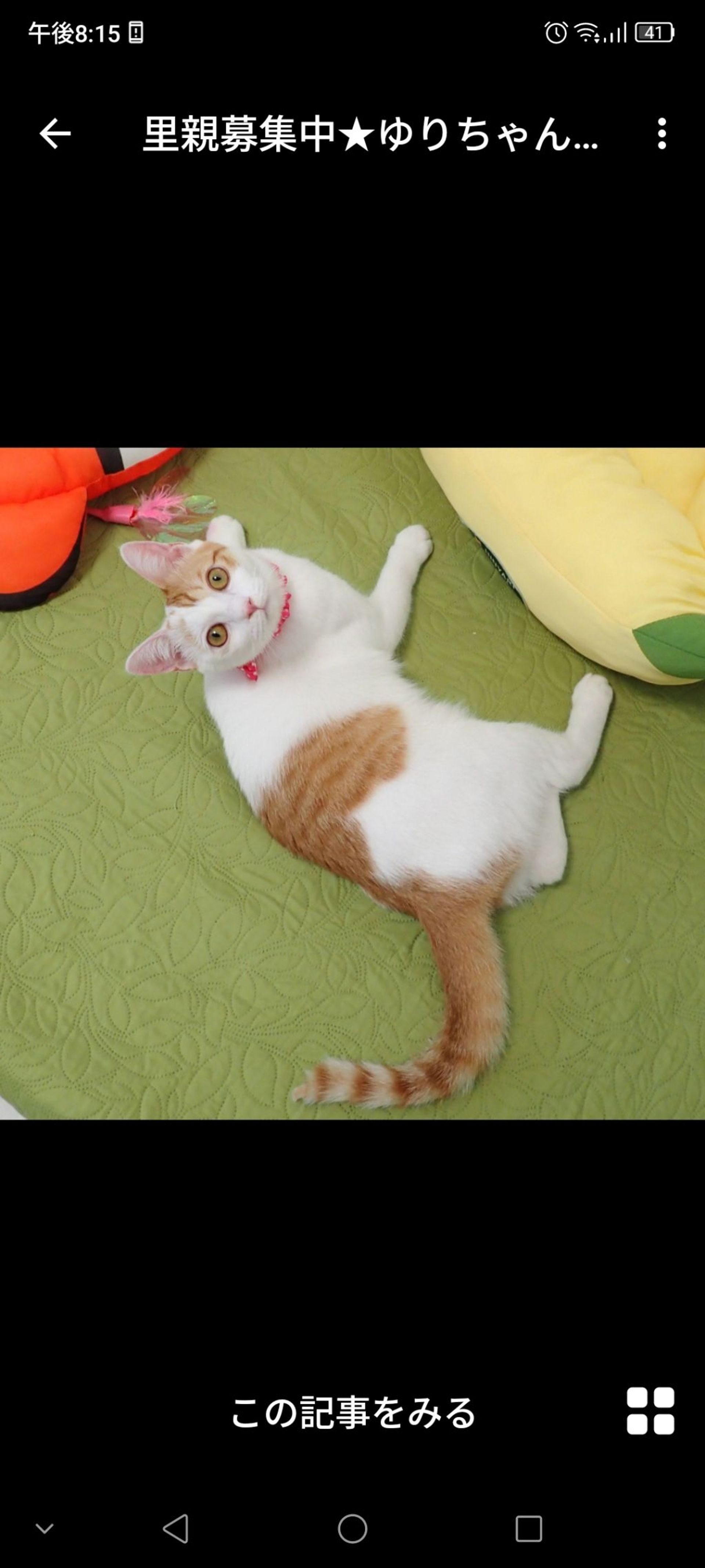 thumbnail-3