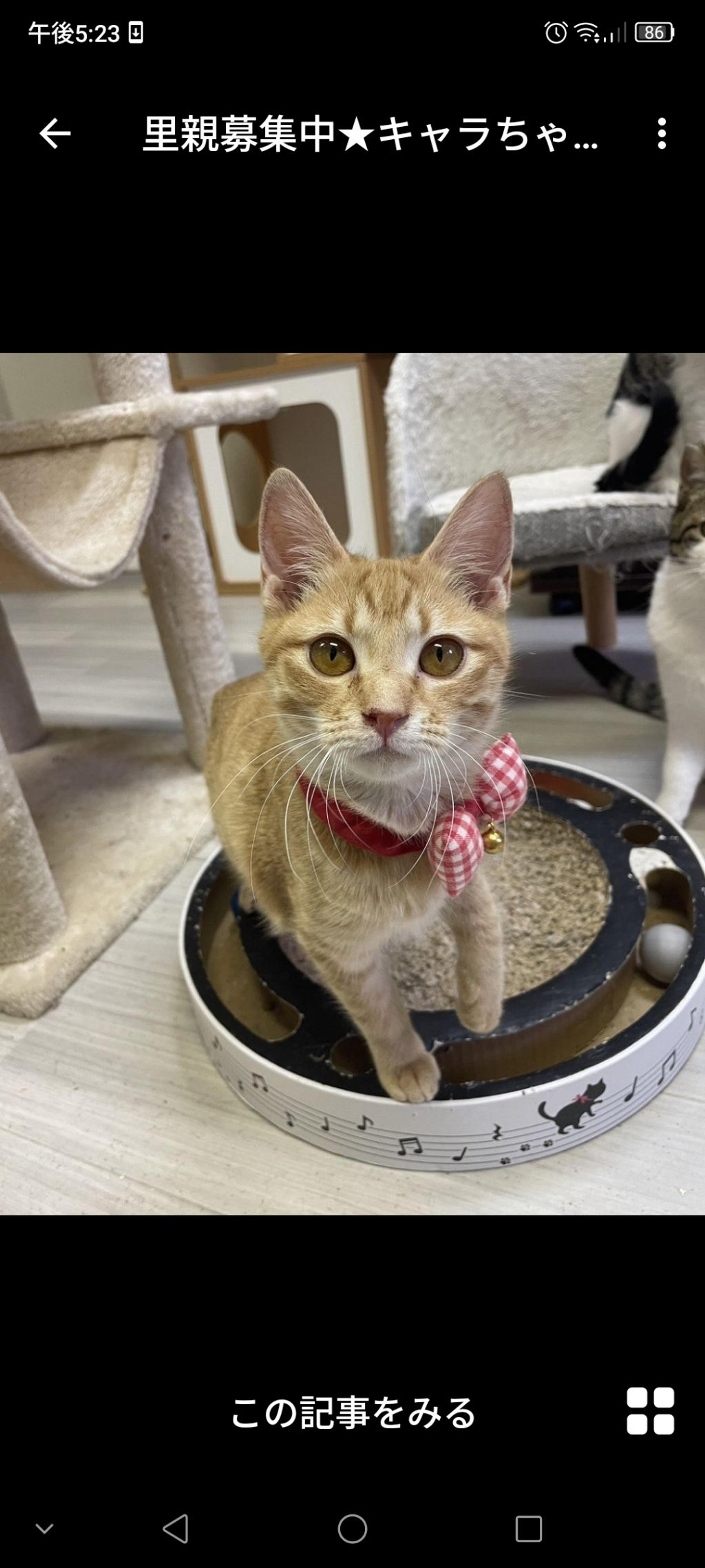 pet-image-2
