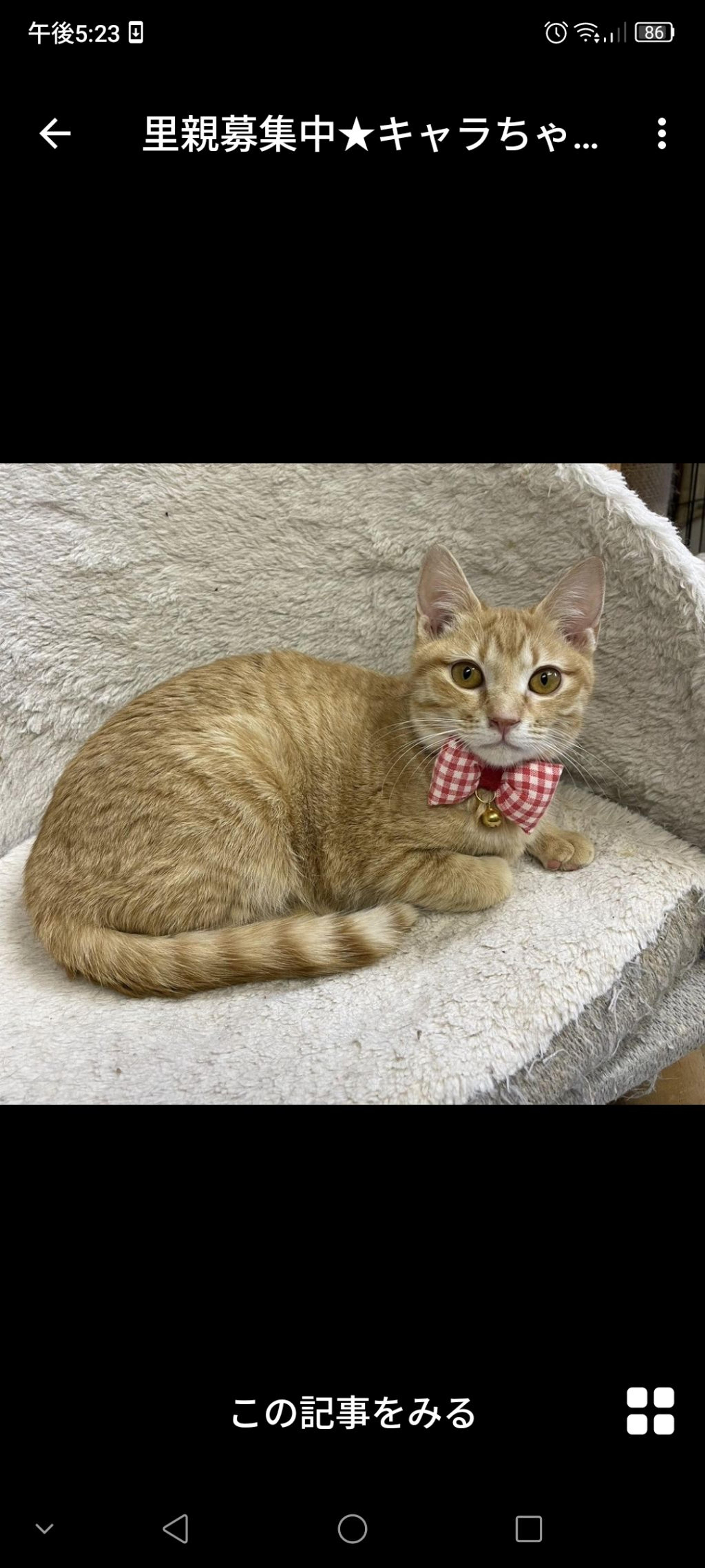 pet-image-3
