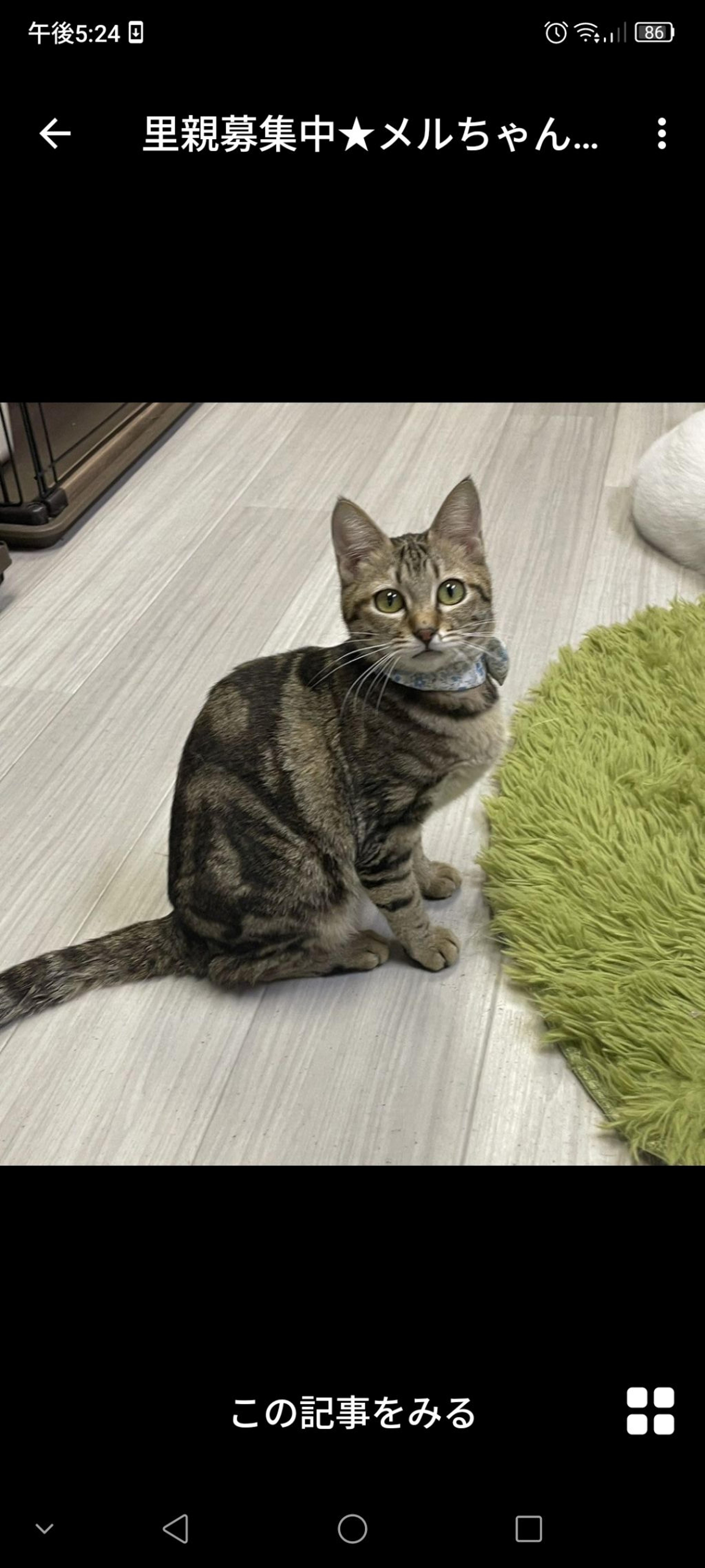 pet-image-2