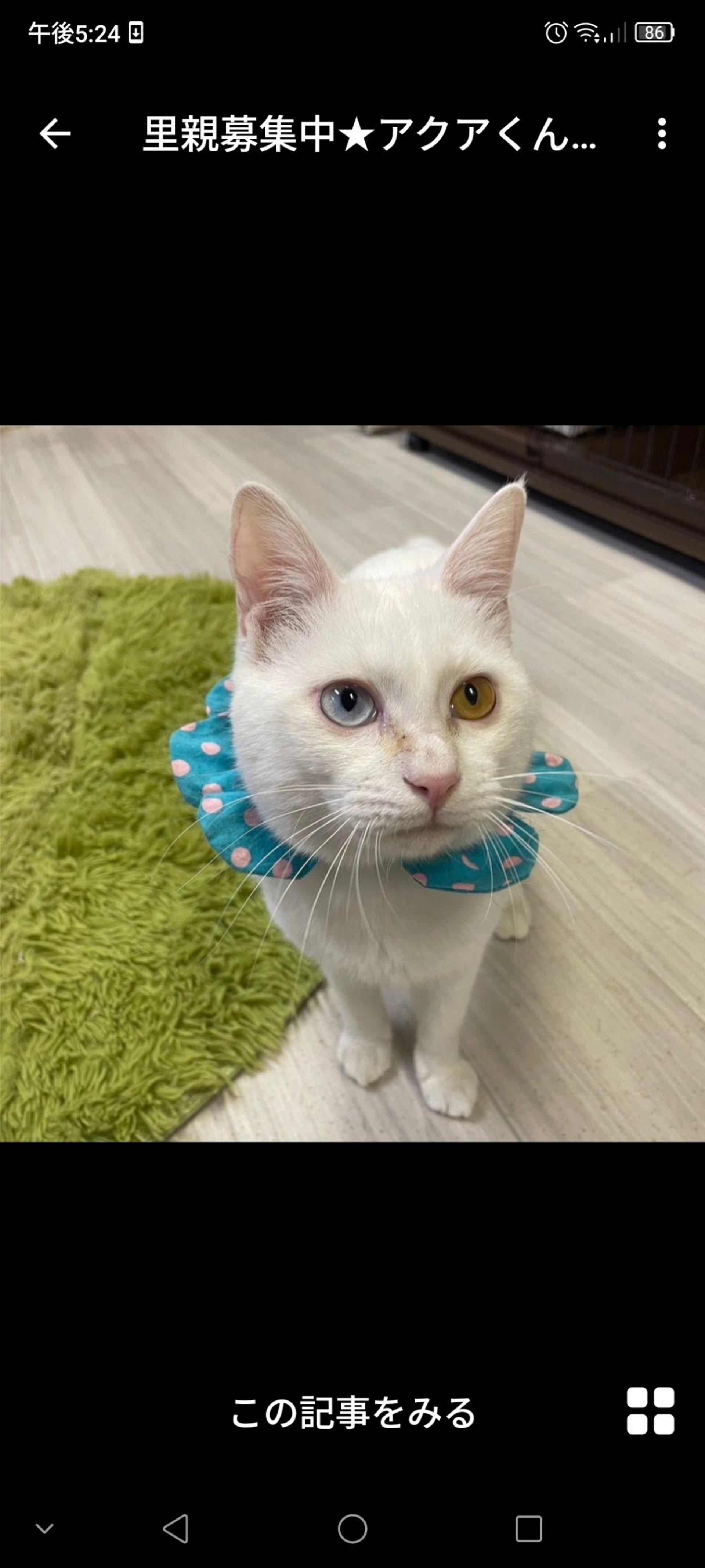 pet-image-2