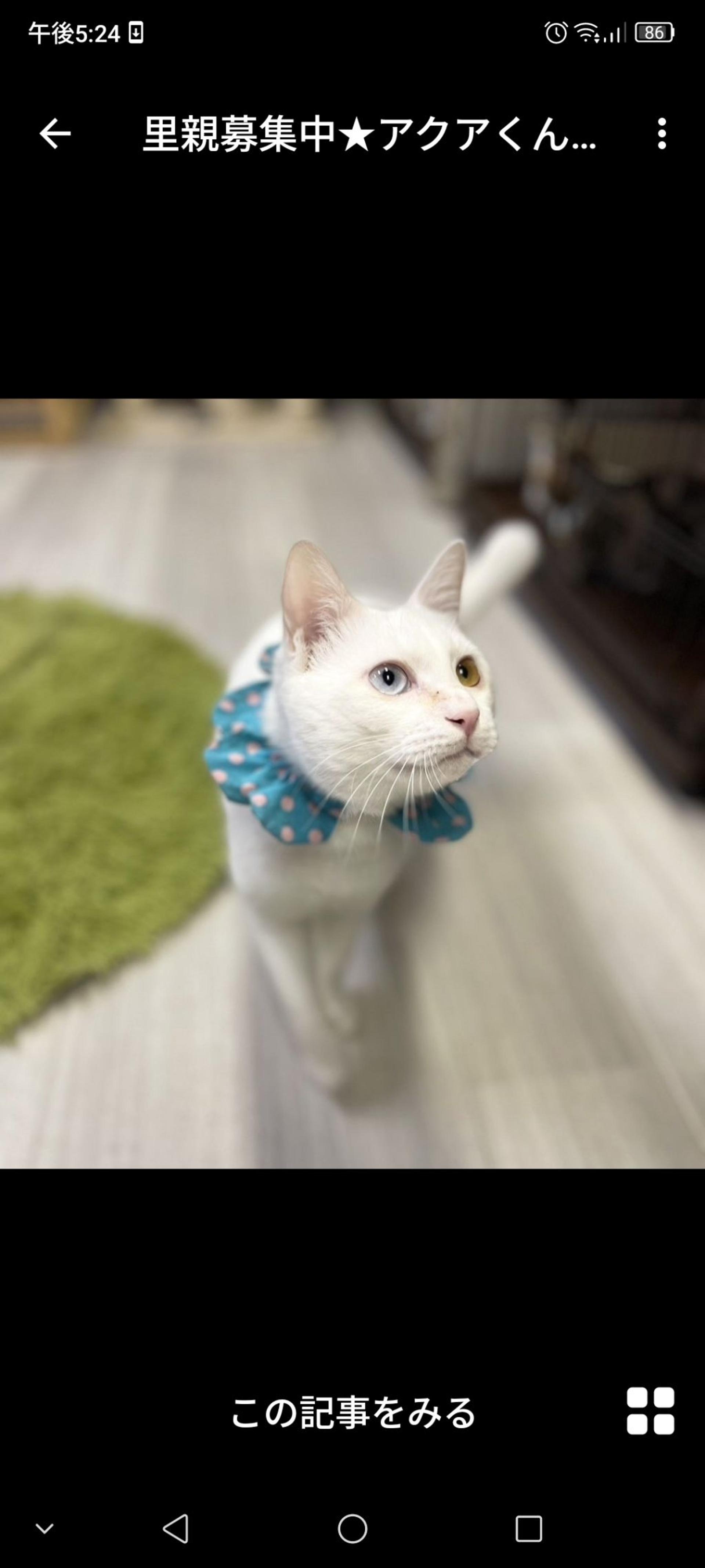 pet-image-3