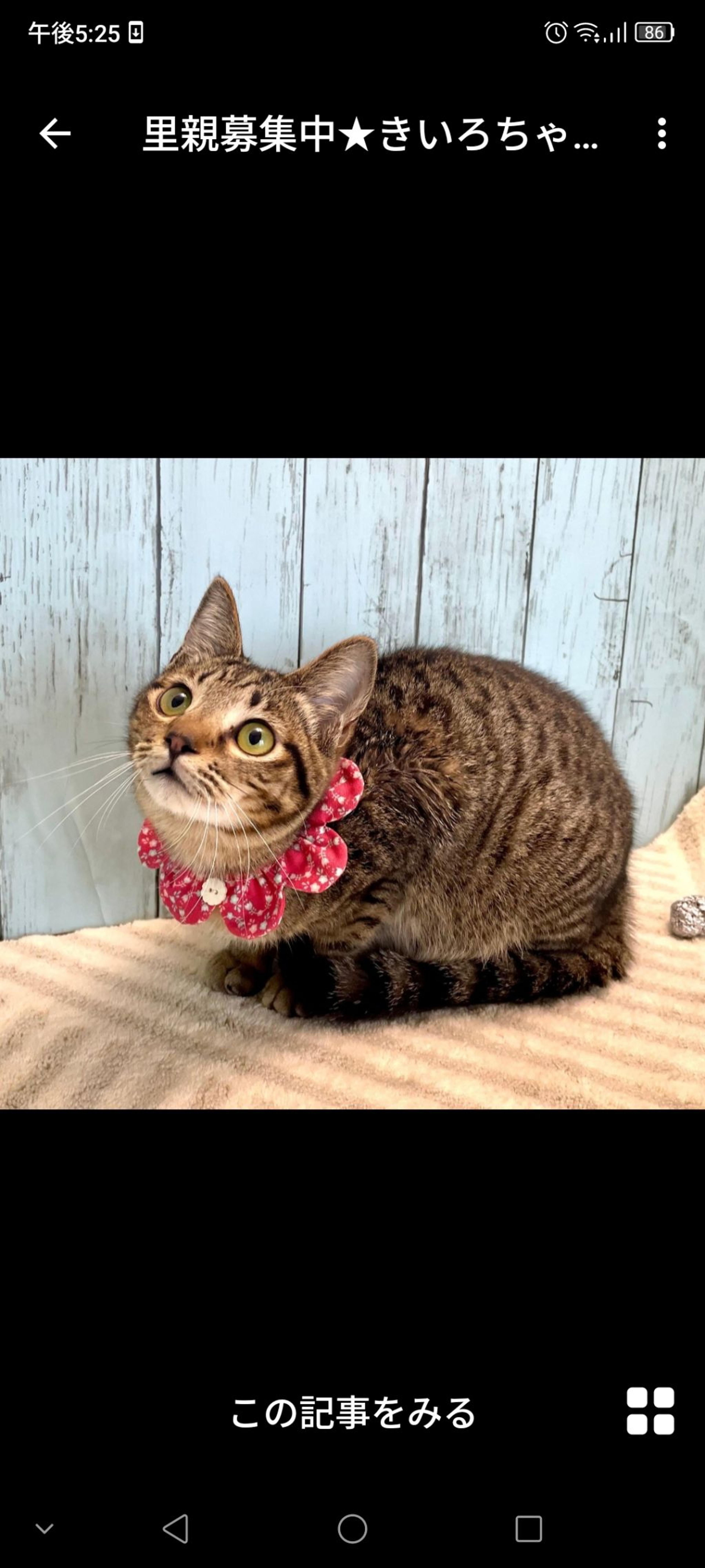 pet-image-3