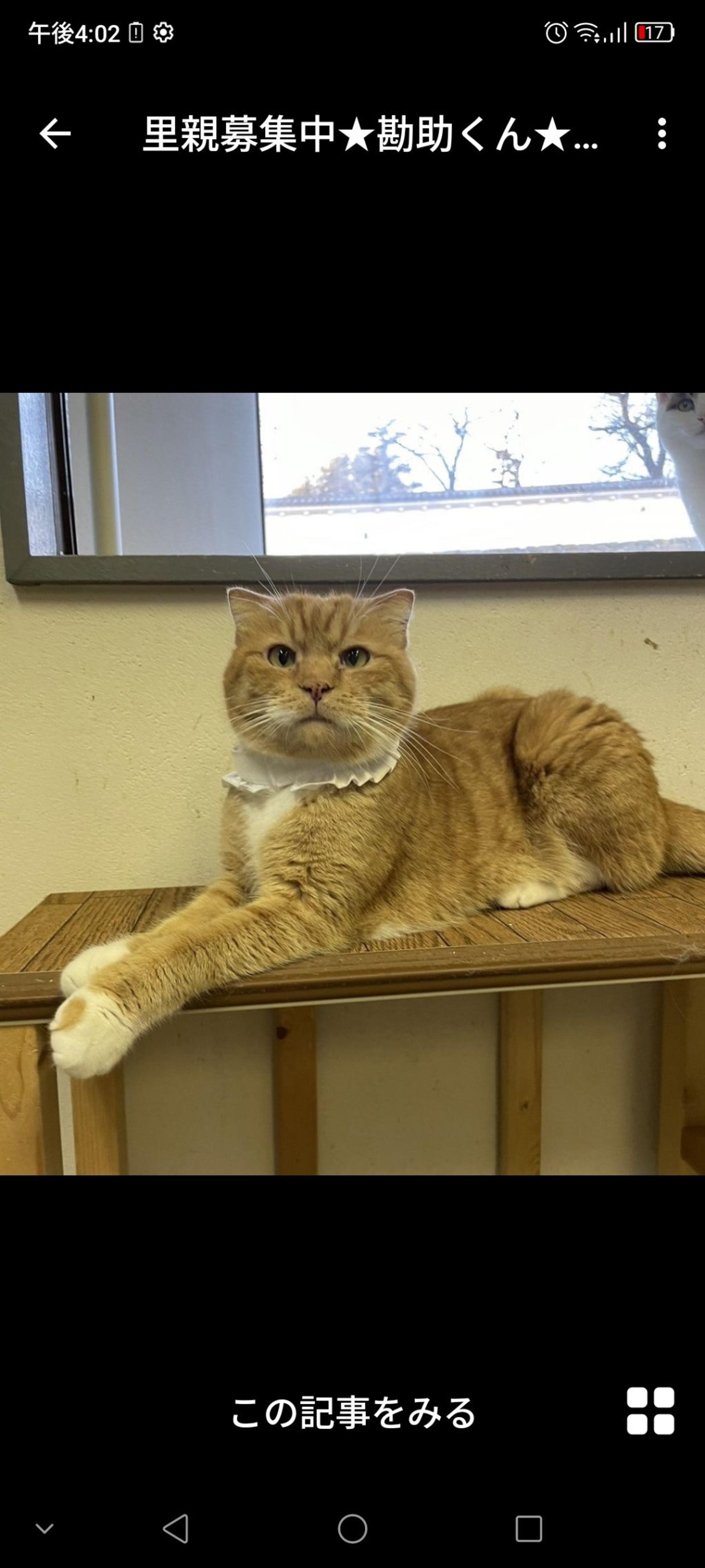 pet-image-2
