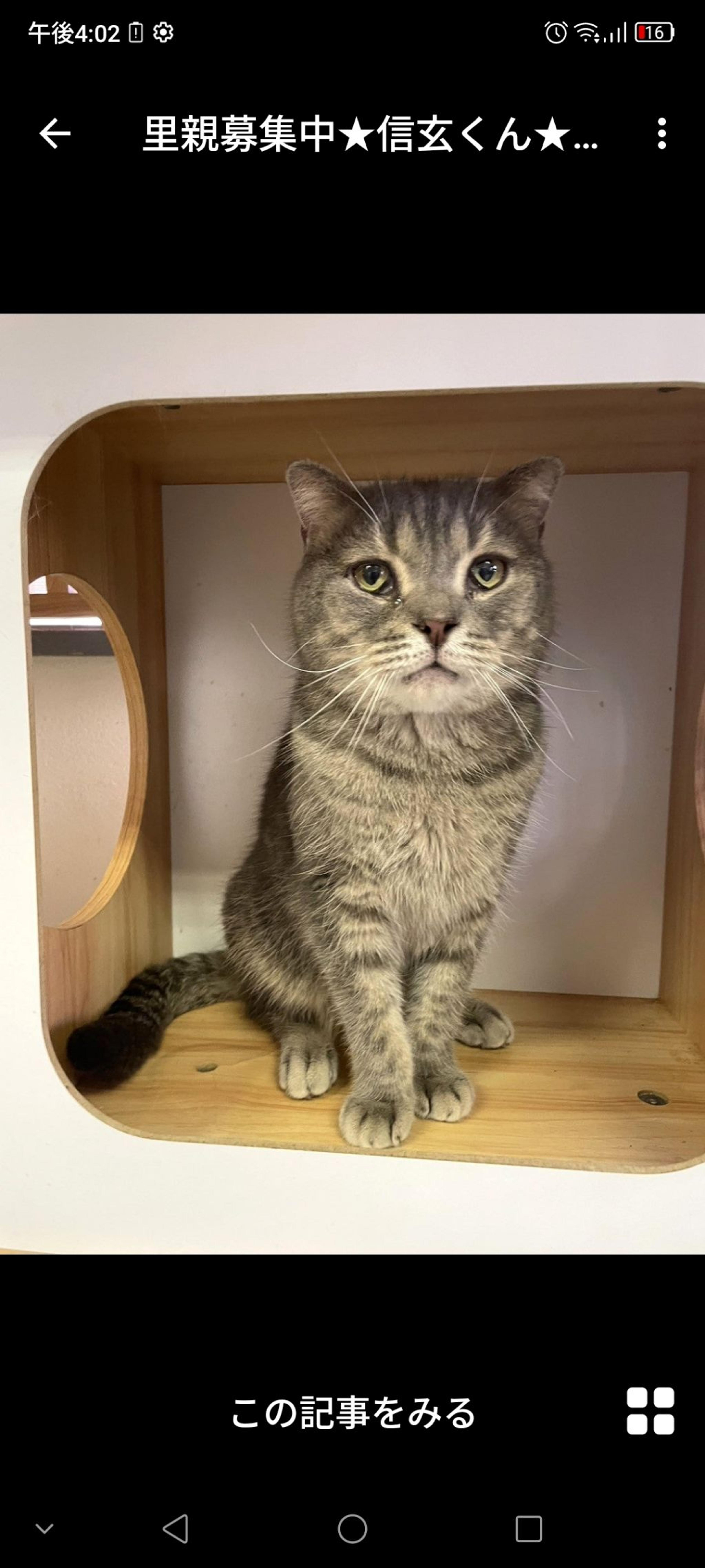 pet-image-2