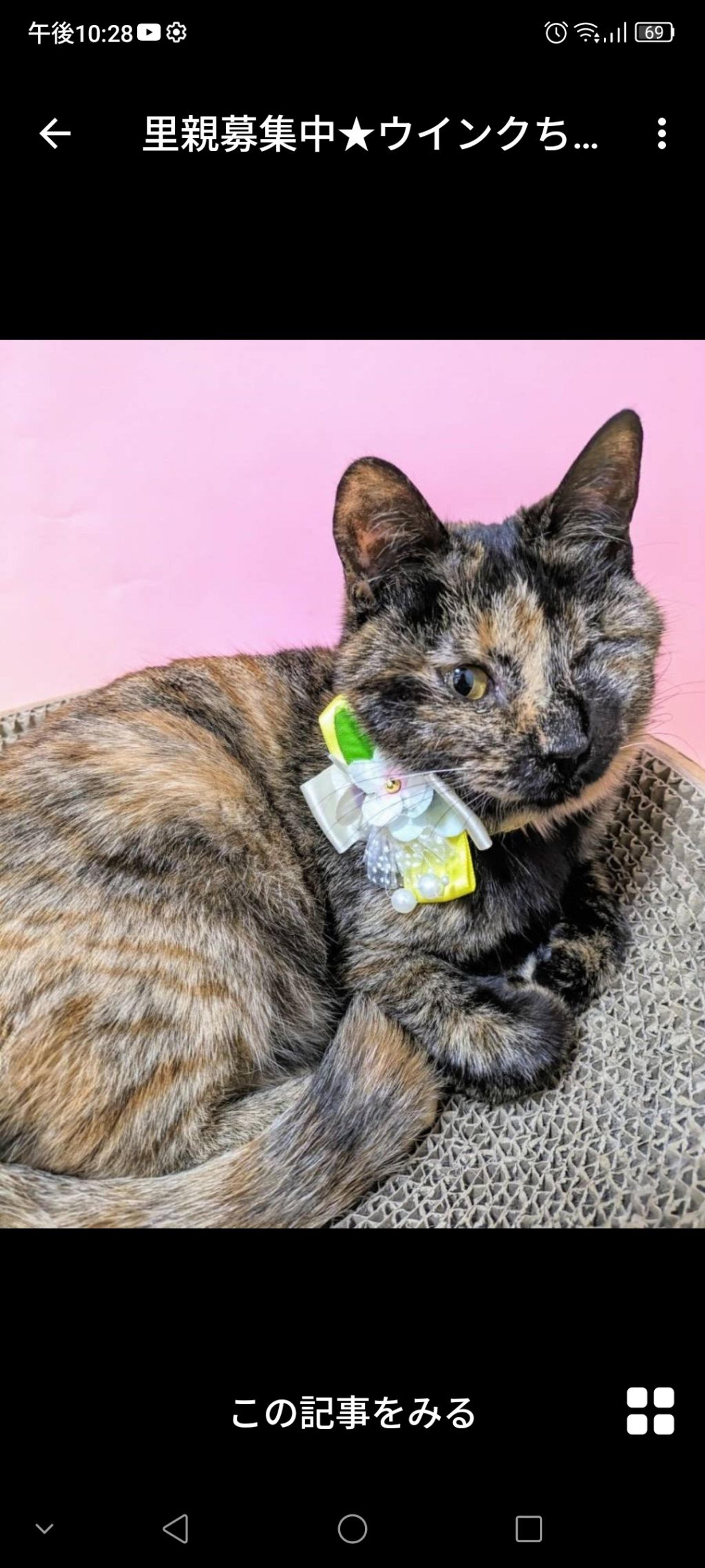 pet-image-2