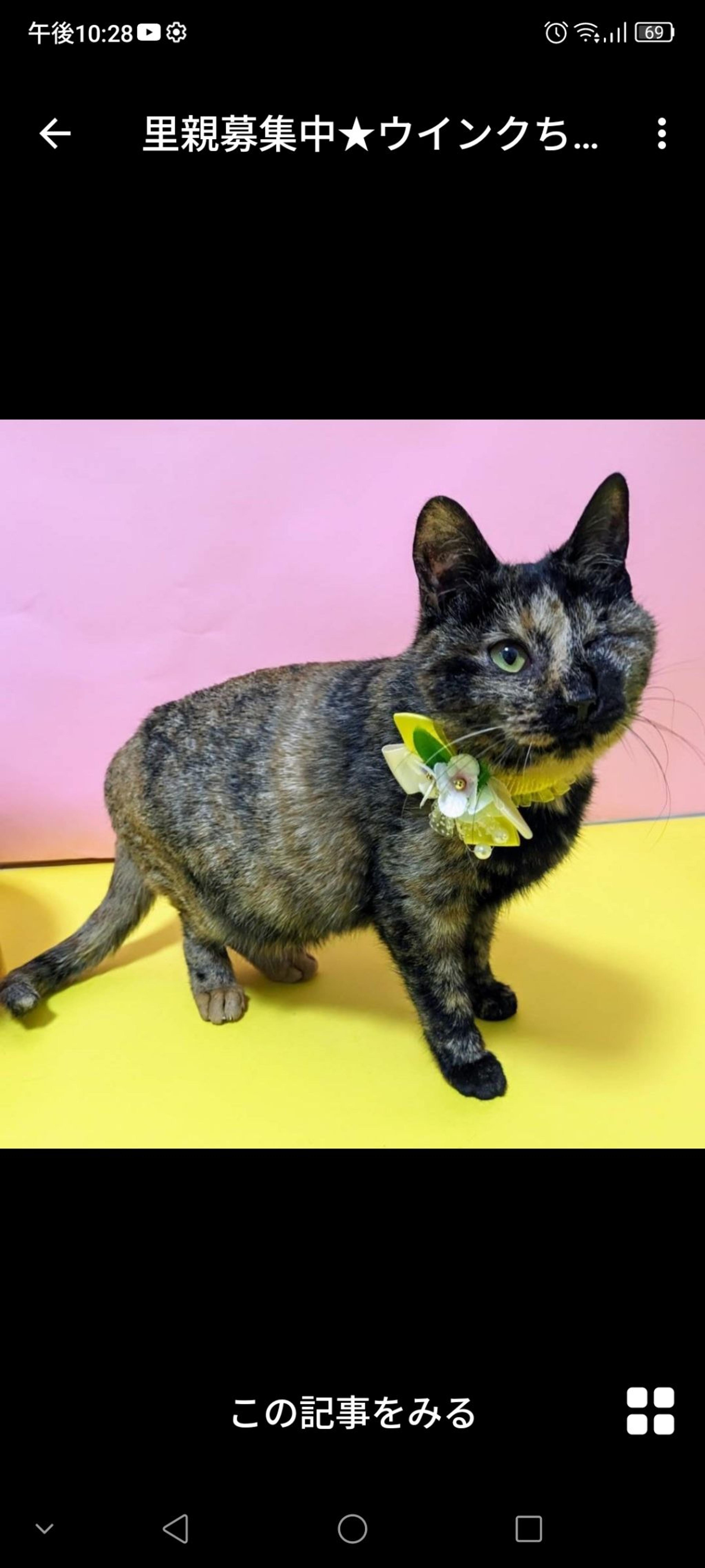 pet-image-3