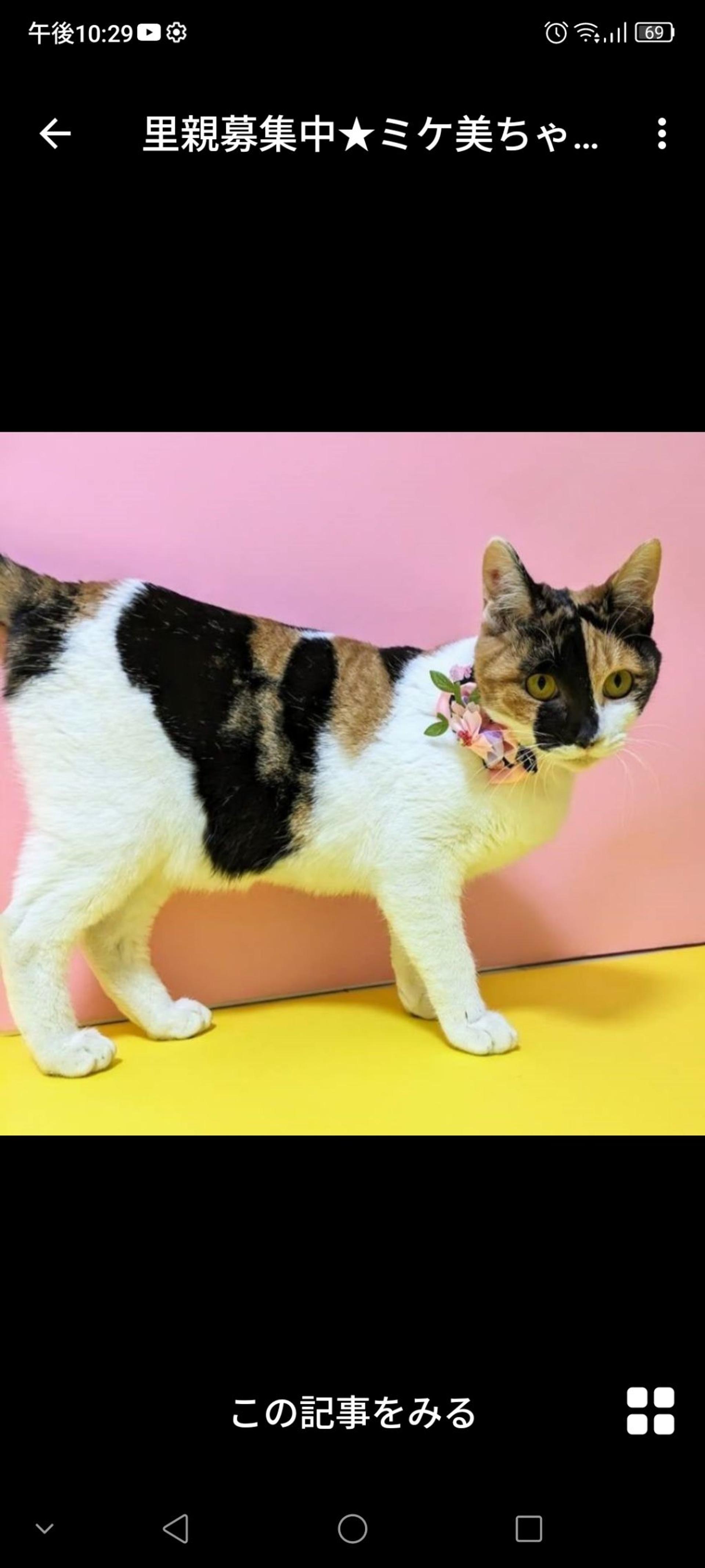 pet-image-3