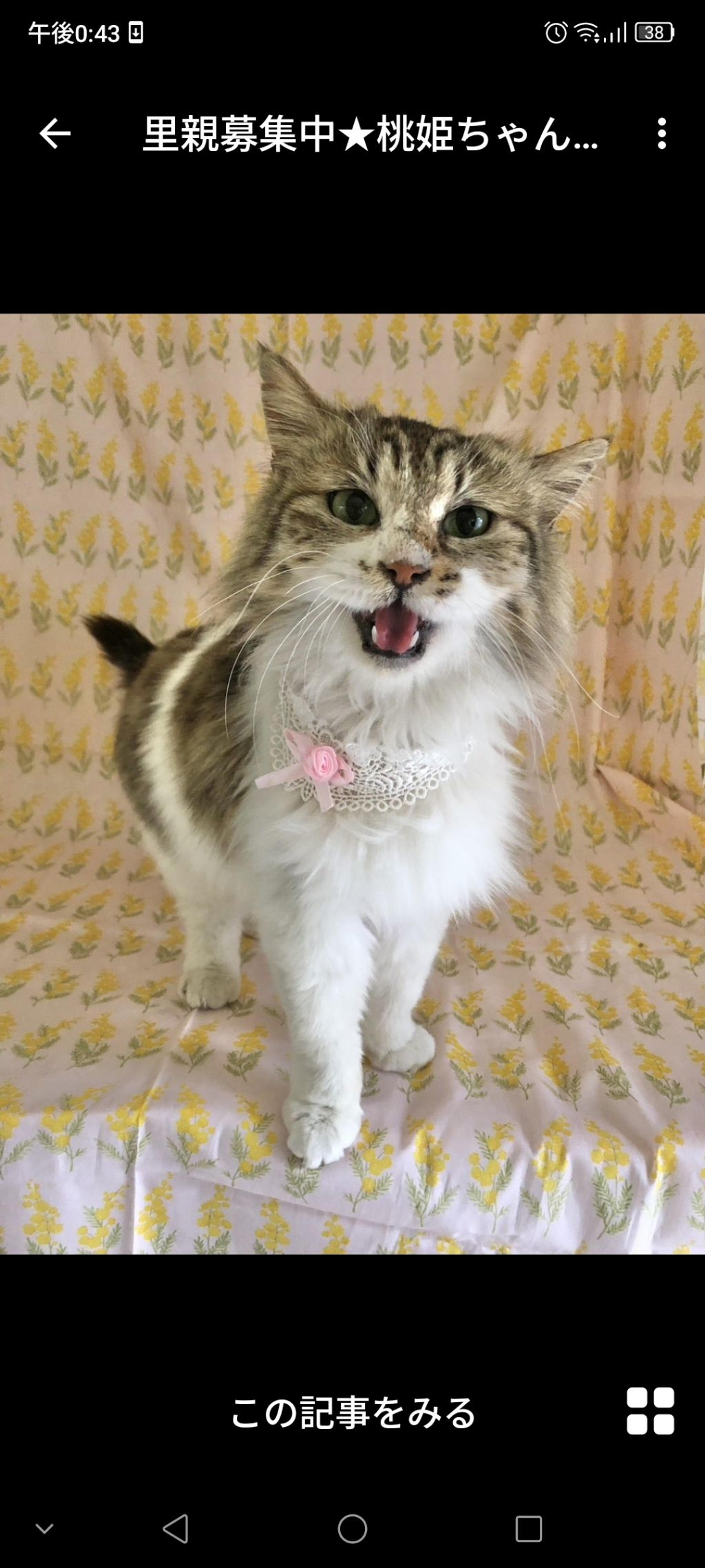 pet-image-3
