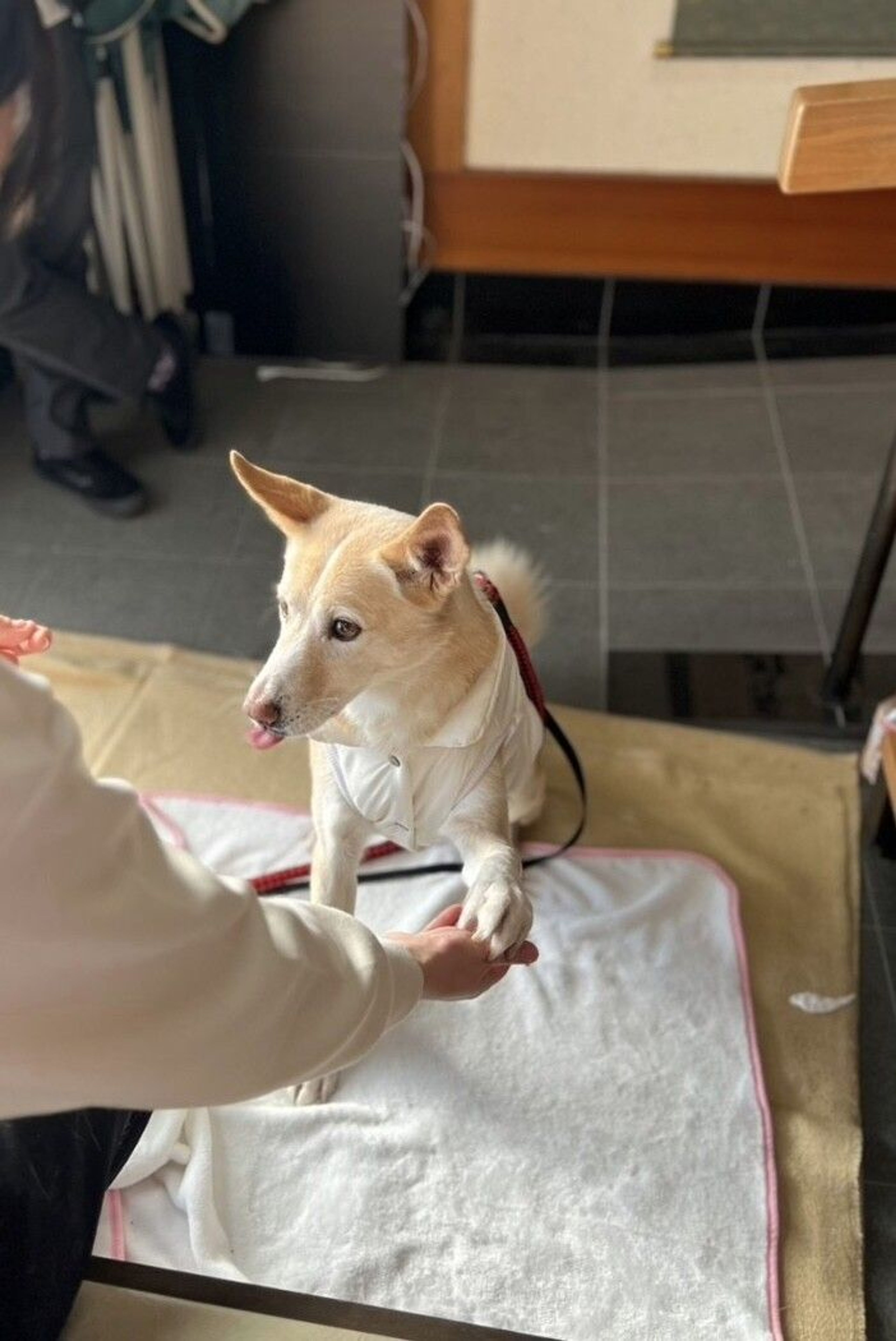 image-6