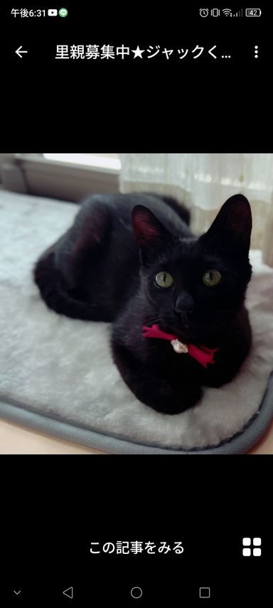 ジャックくん