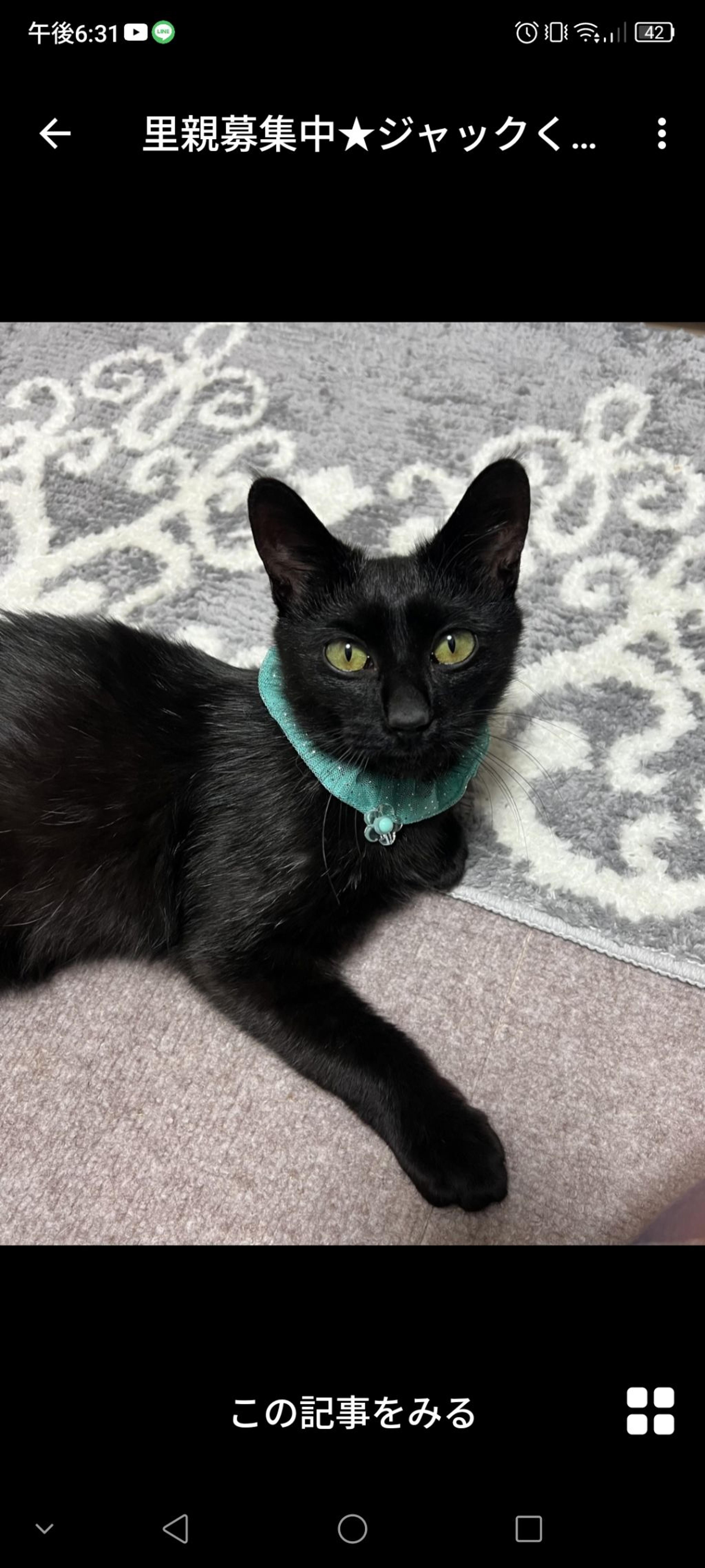 pet-image-3