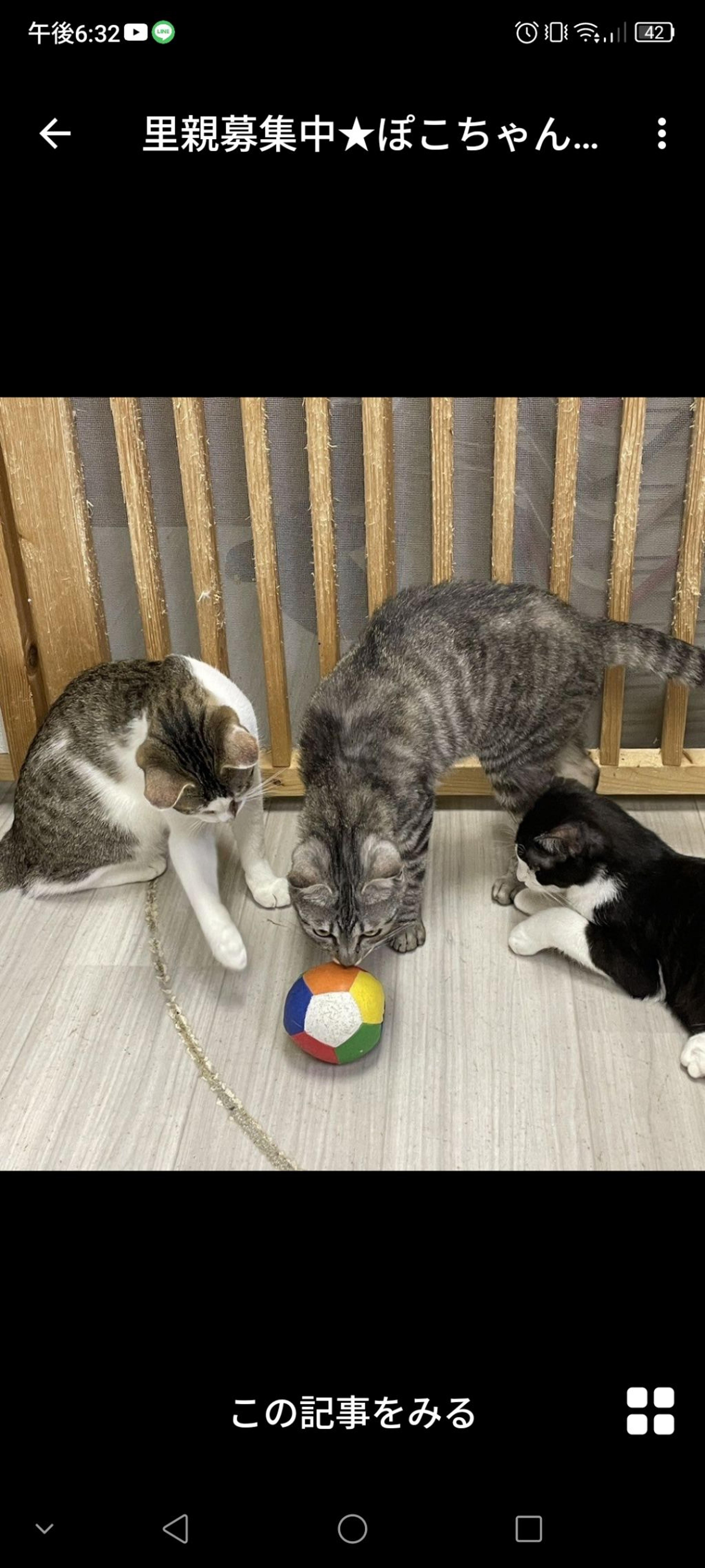 pet-image-3