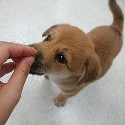 thumb-1