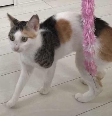 みこみの写真