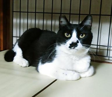 名無しちゃんの写真