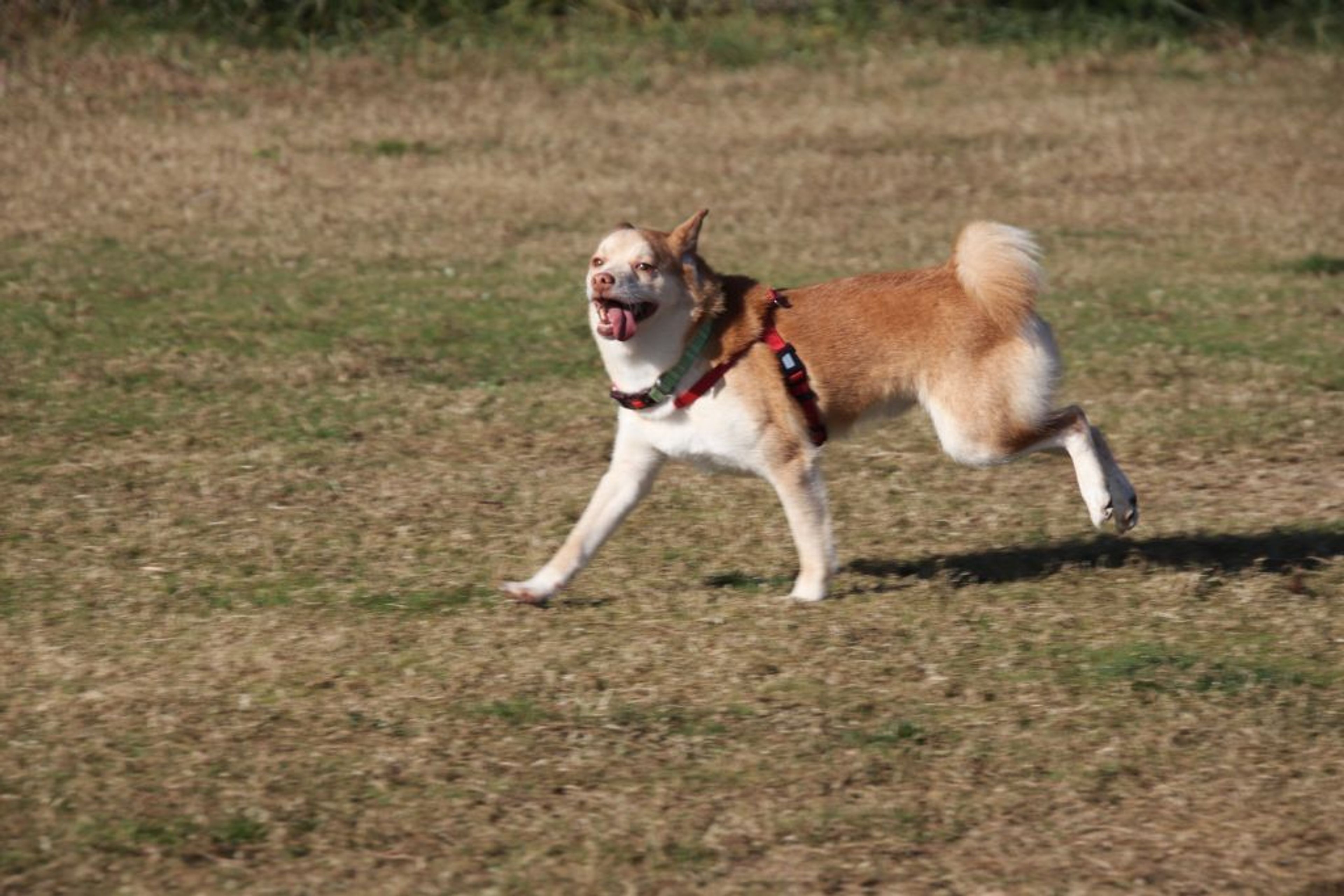 image-2