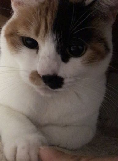 唄の写真