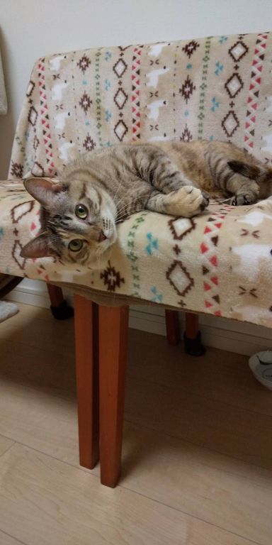 イクの写真