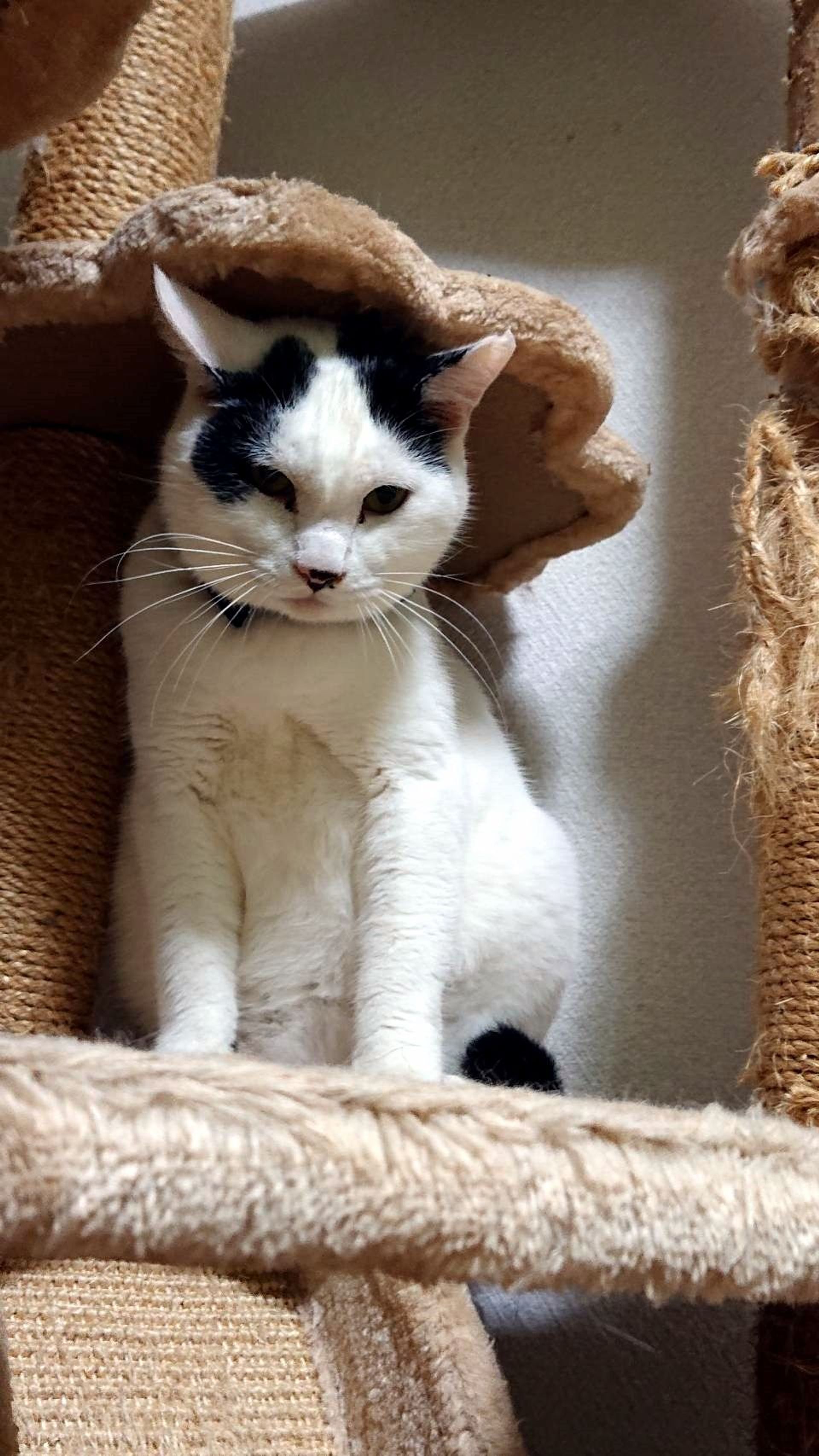 thumbnail-2
