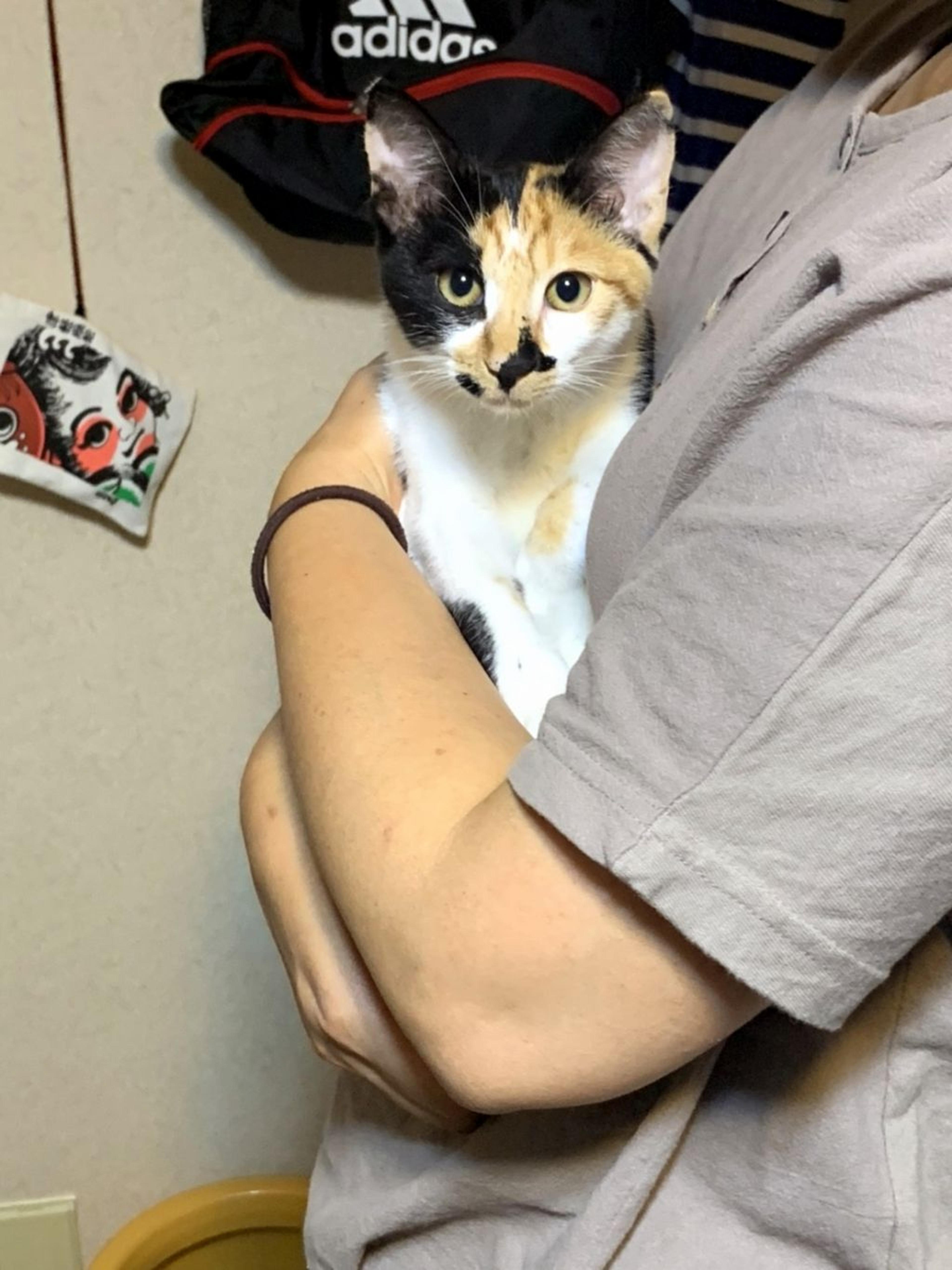 pet-image-7