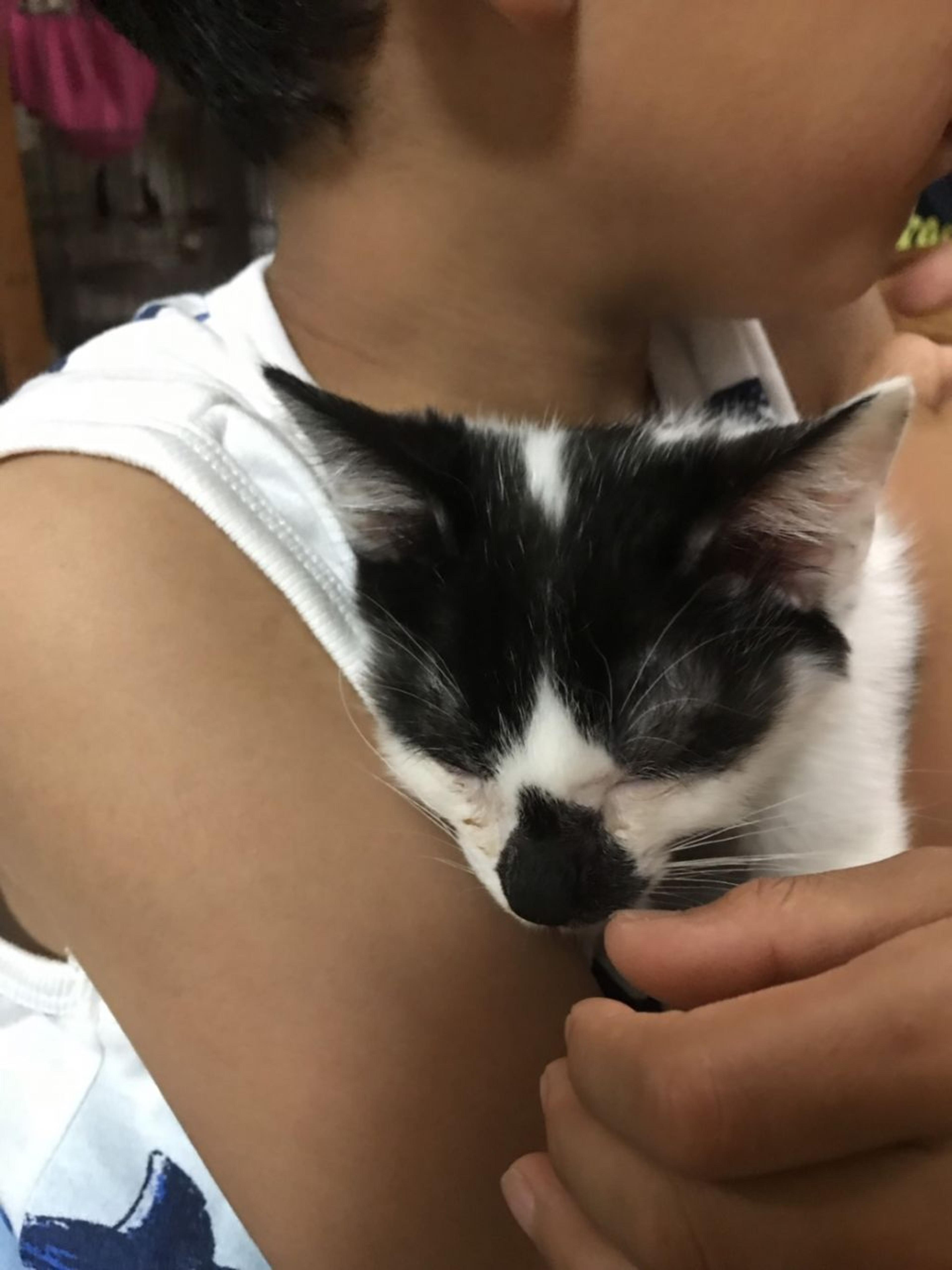 pet-image-4