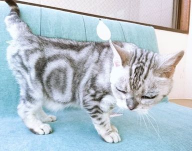 ろるちゃんの写真