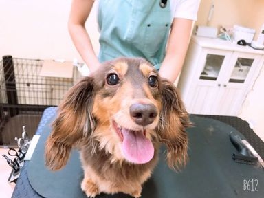 なつ