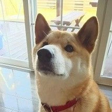 名無しちゃんの写真