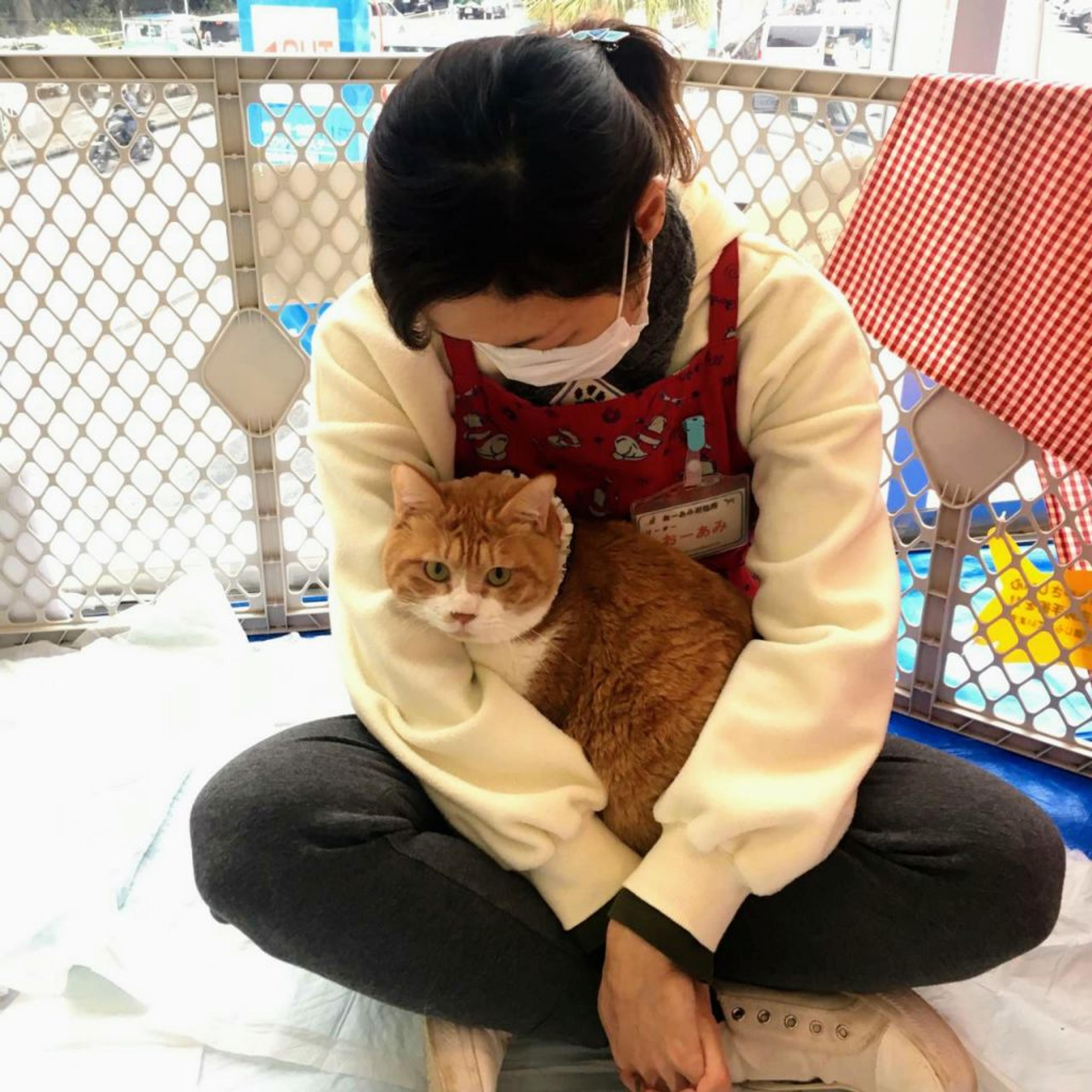 pet-image-6