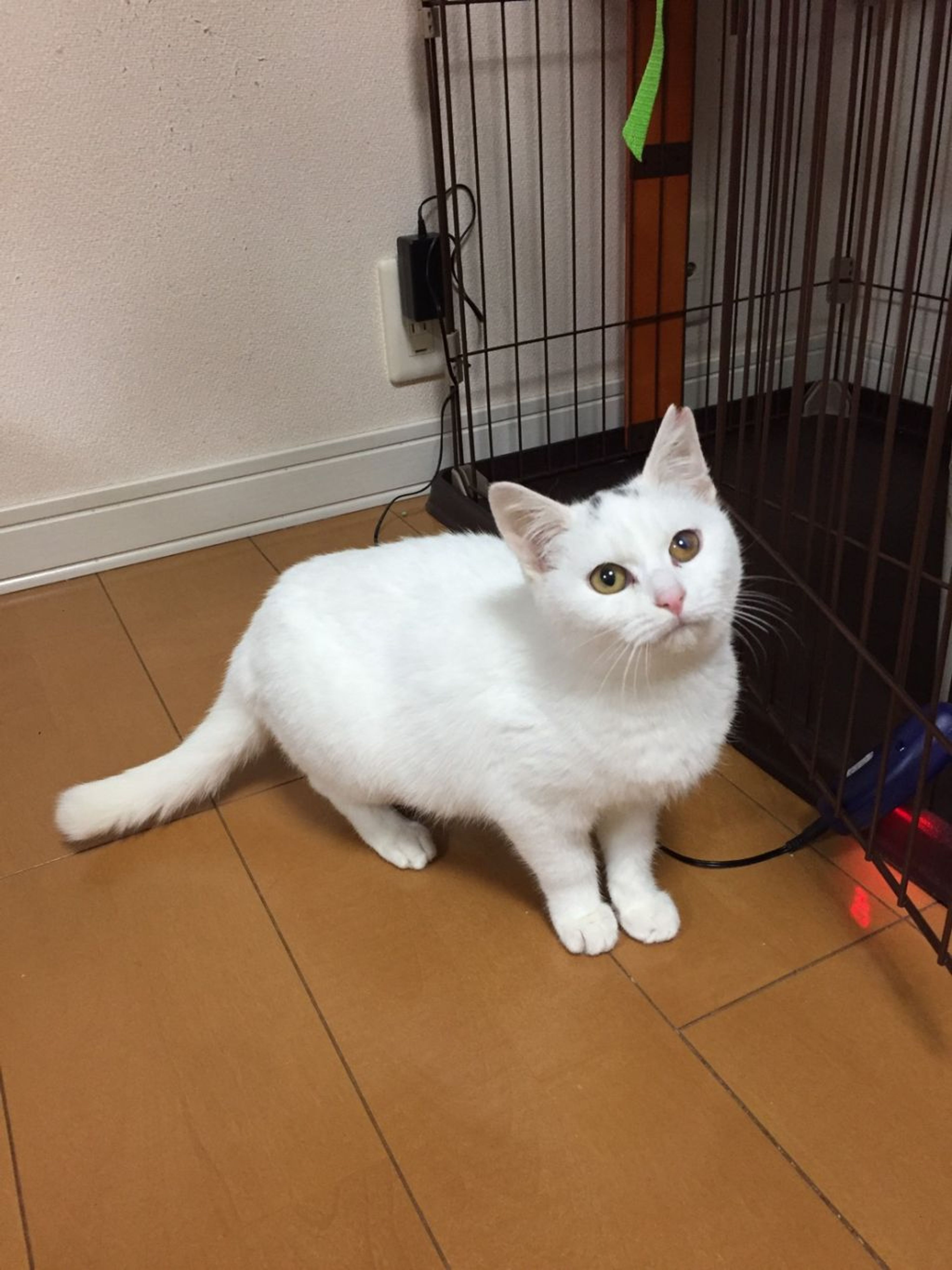 image-6