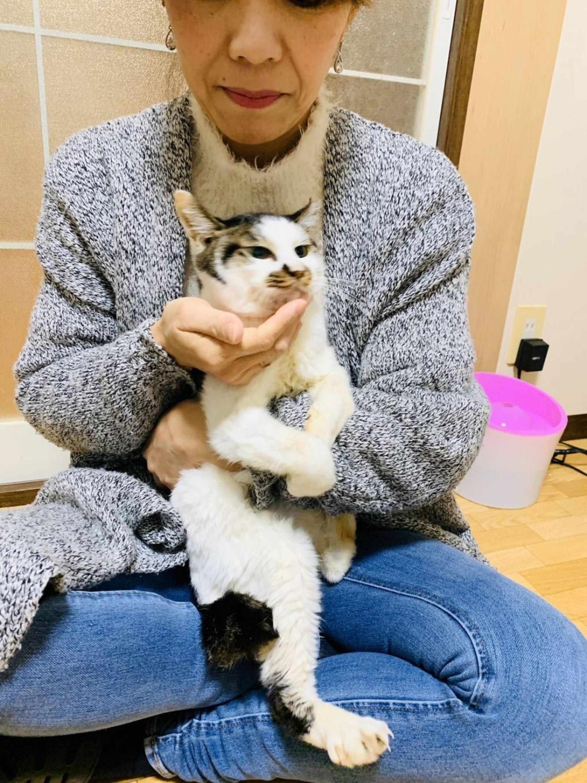 pet-image-5