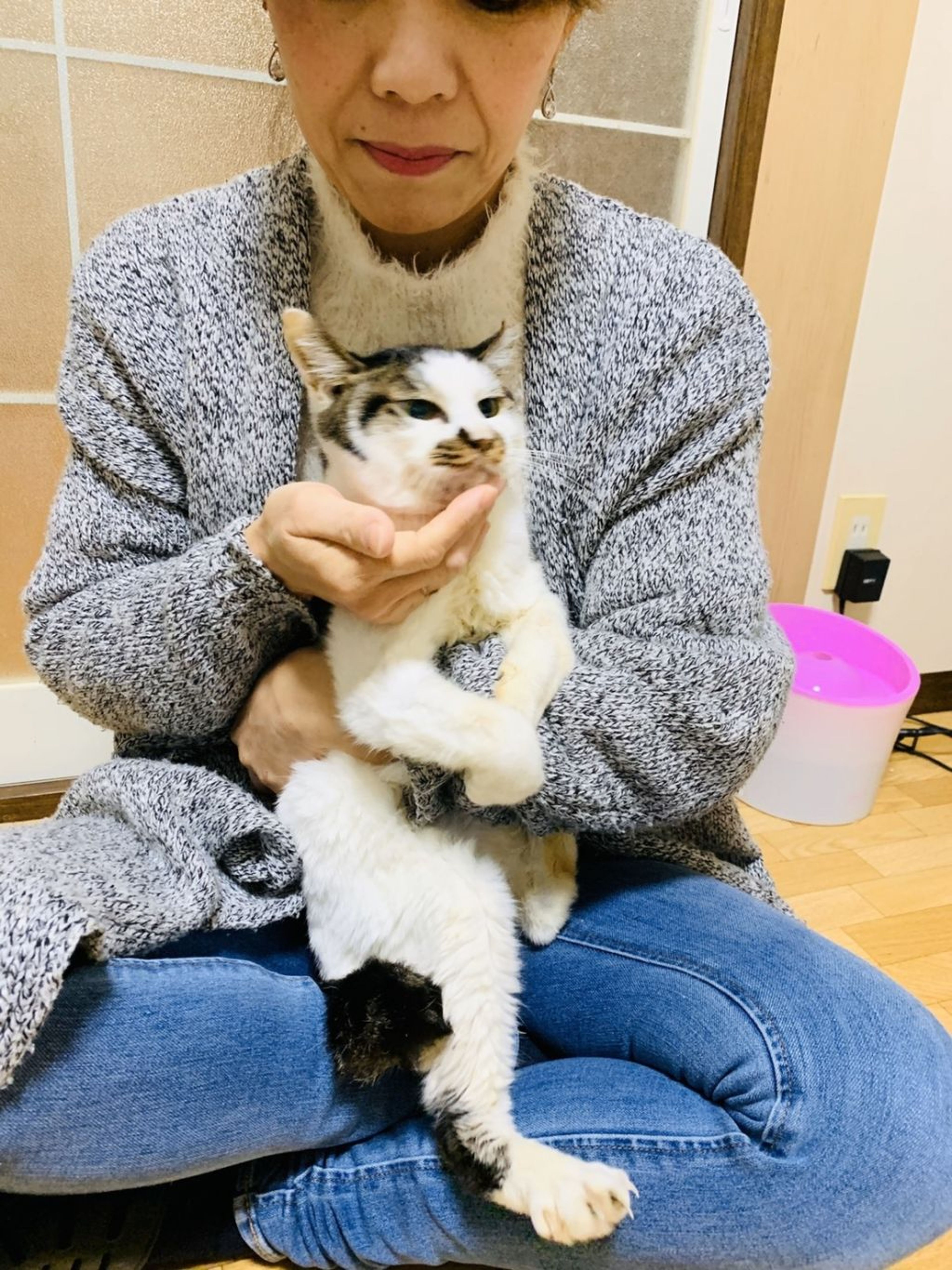 pet-image-5