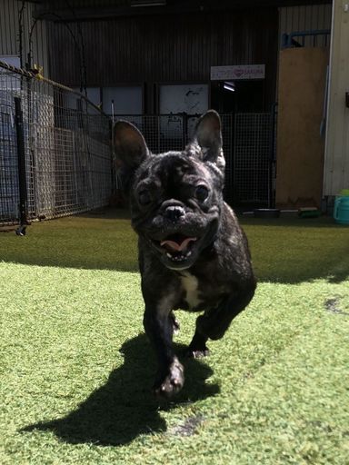 からちゃんの写真