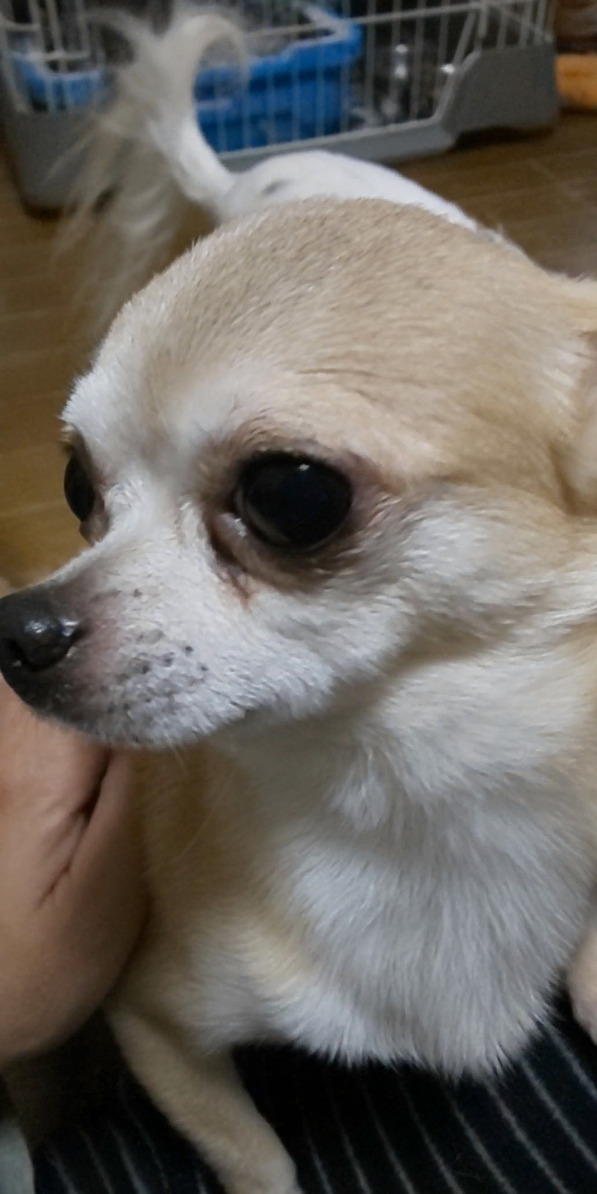 thumbnail-3