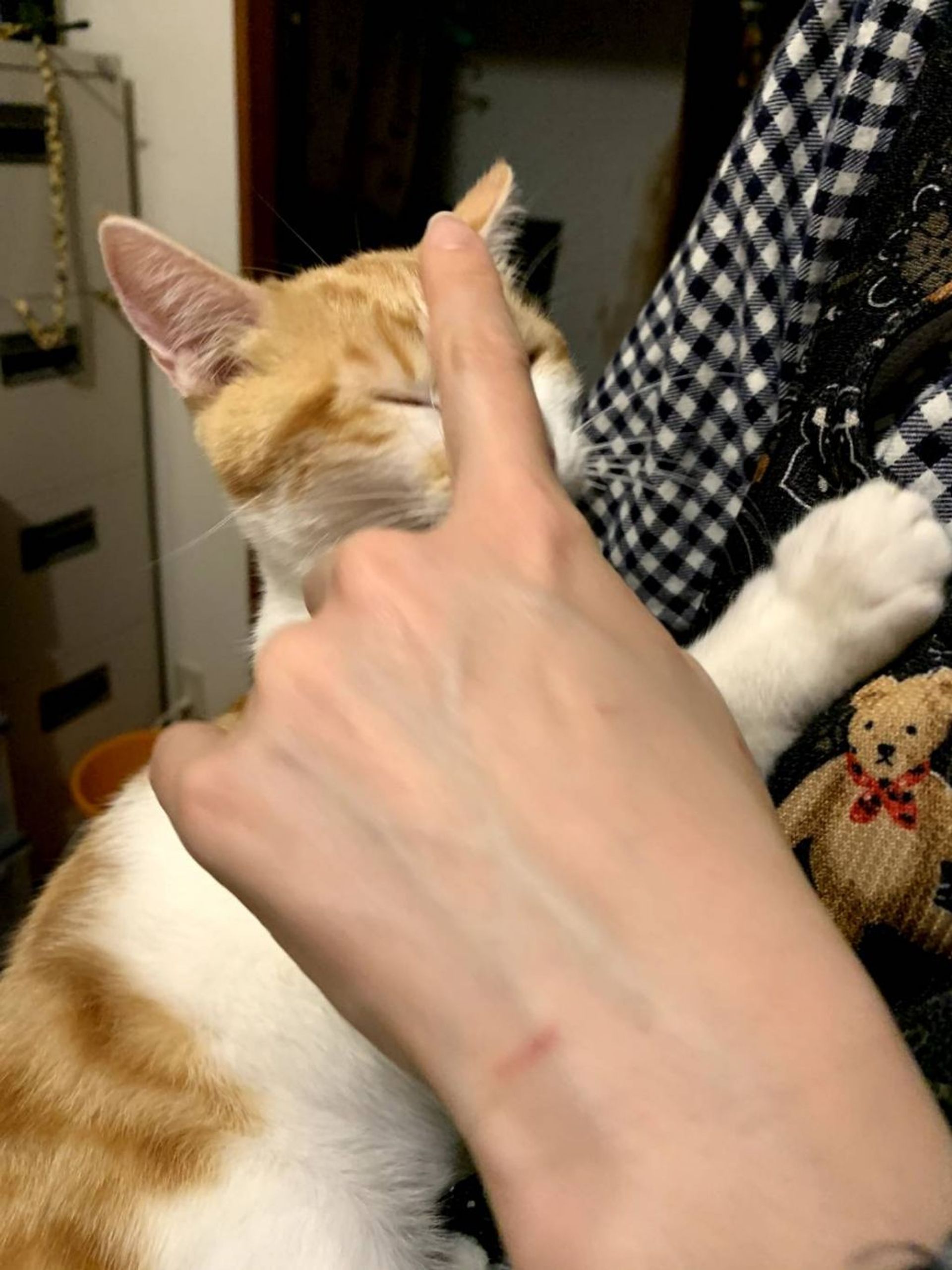 thumbnail-4