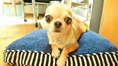名無しちゃんの写真