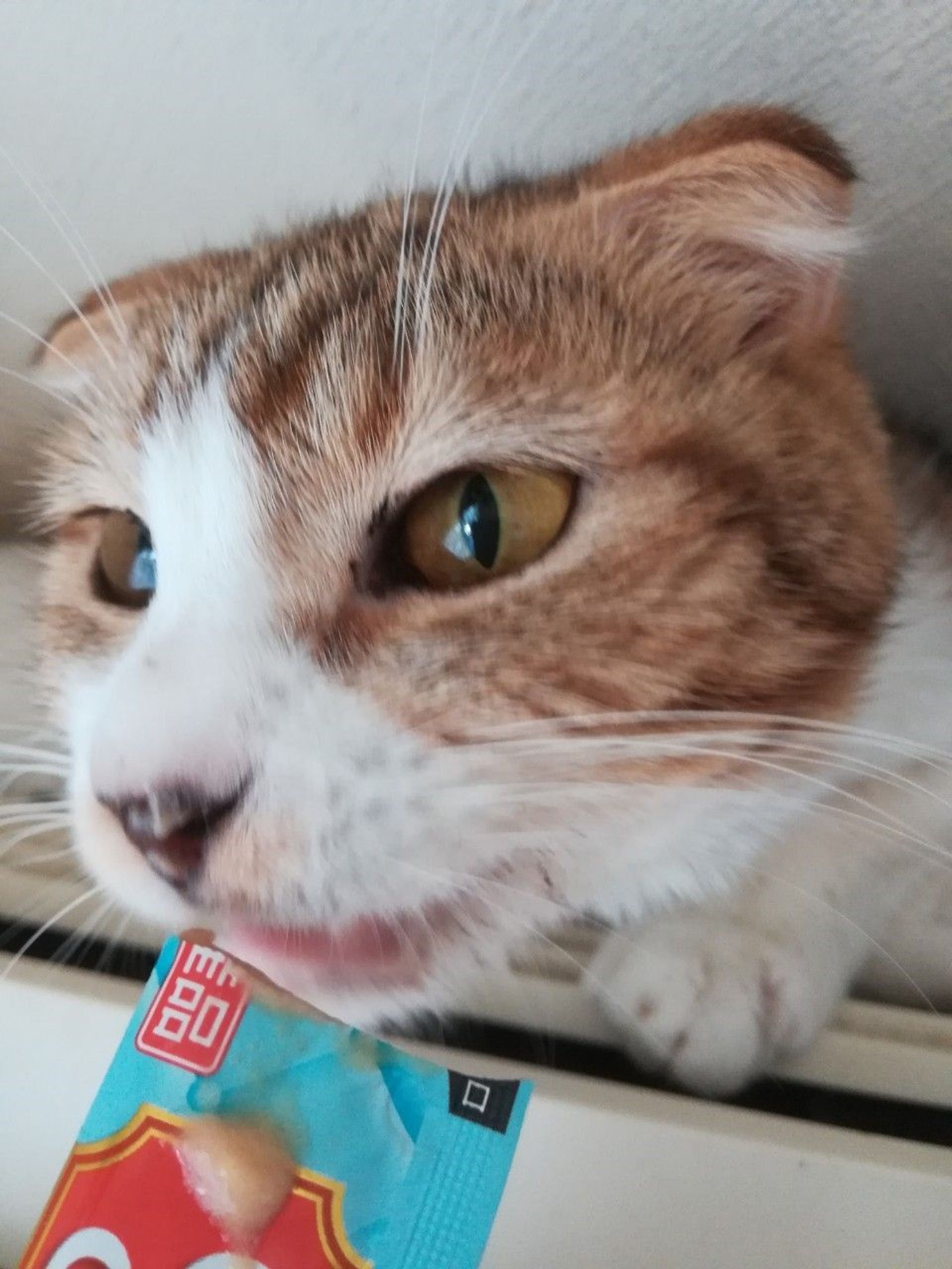 thumbnail-6