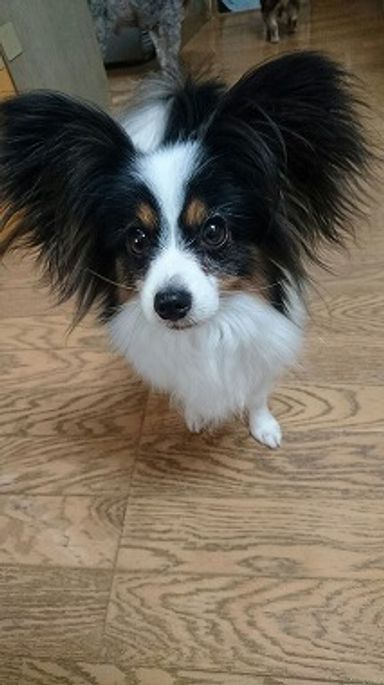 名無しちゃんの写真