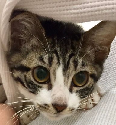 遊歩(ゆうほ)の写真