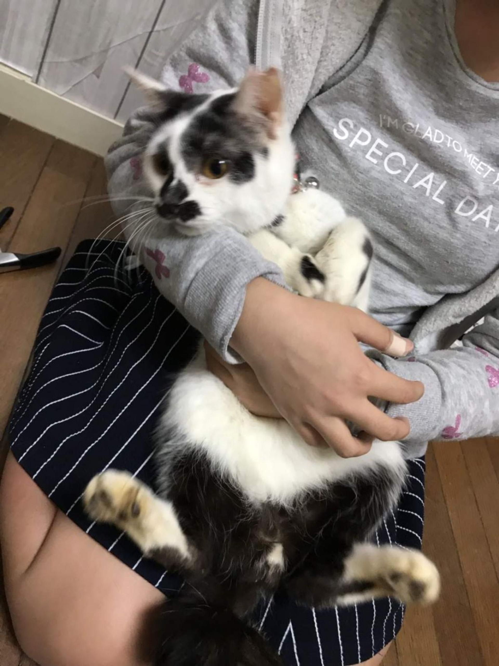 pet-image-2
