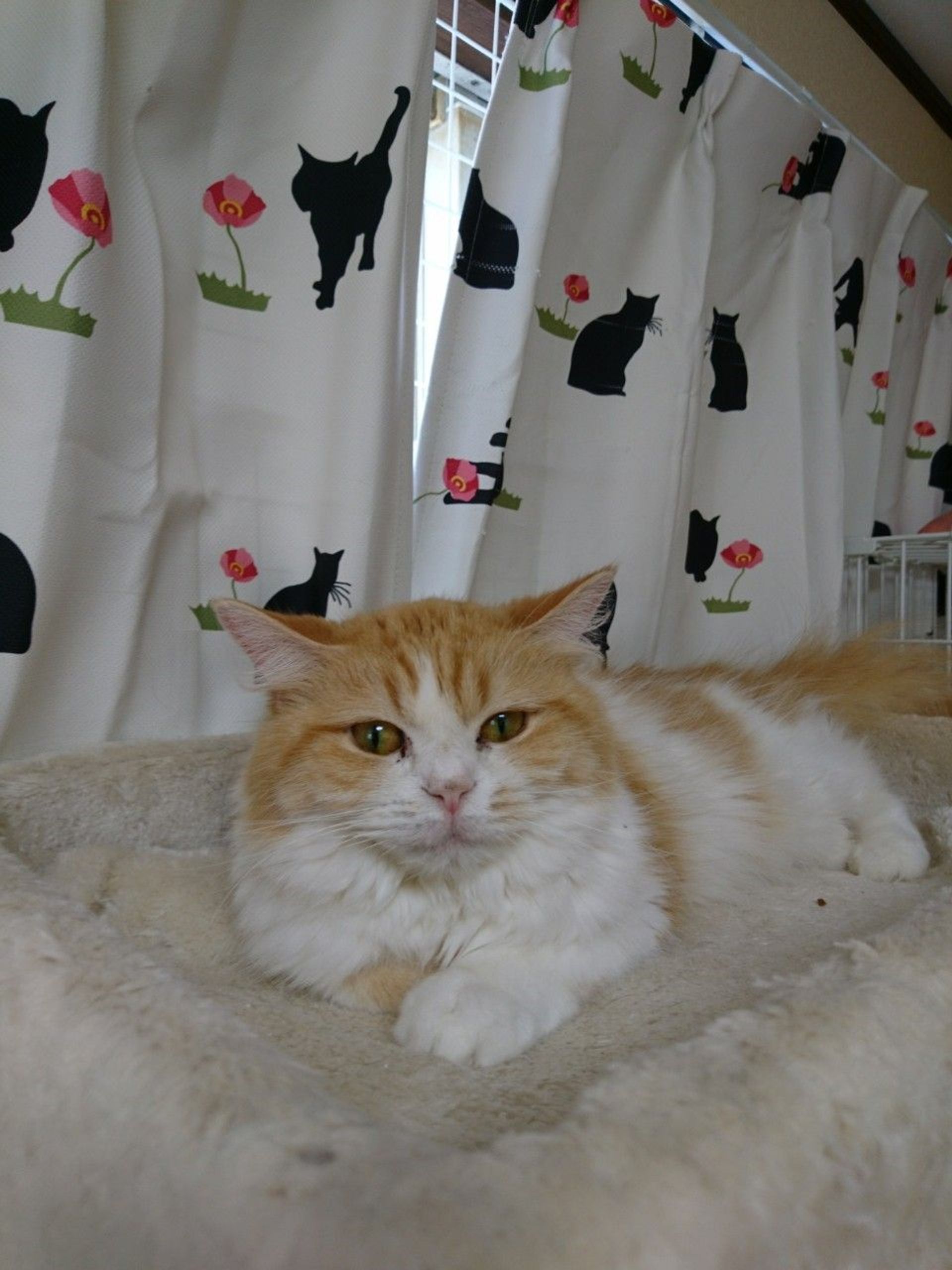 thumbnail-6