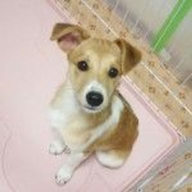 名無しちゃんの写真