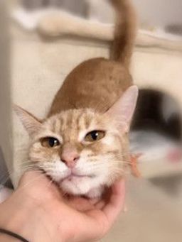 thumb-1