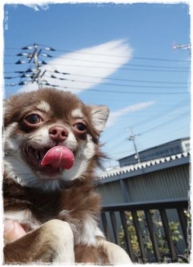 名無しちゃんの写真