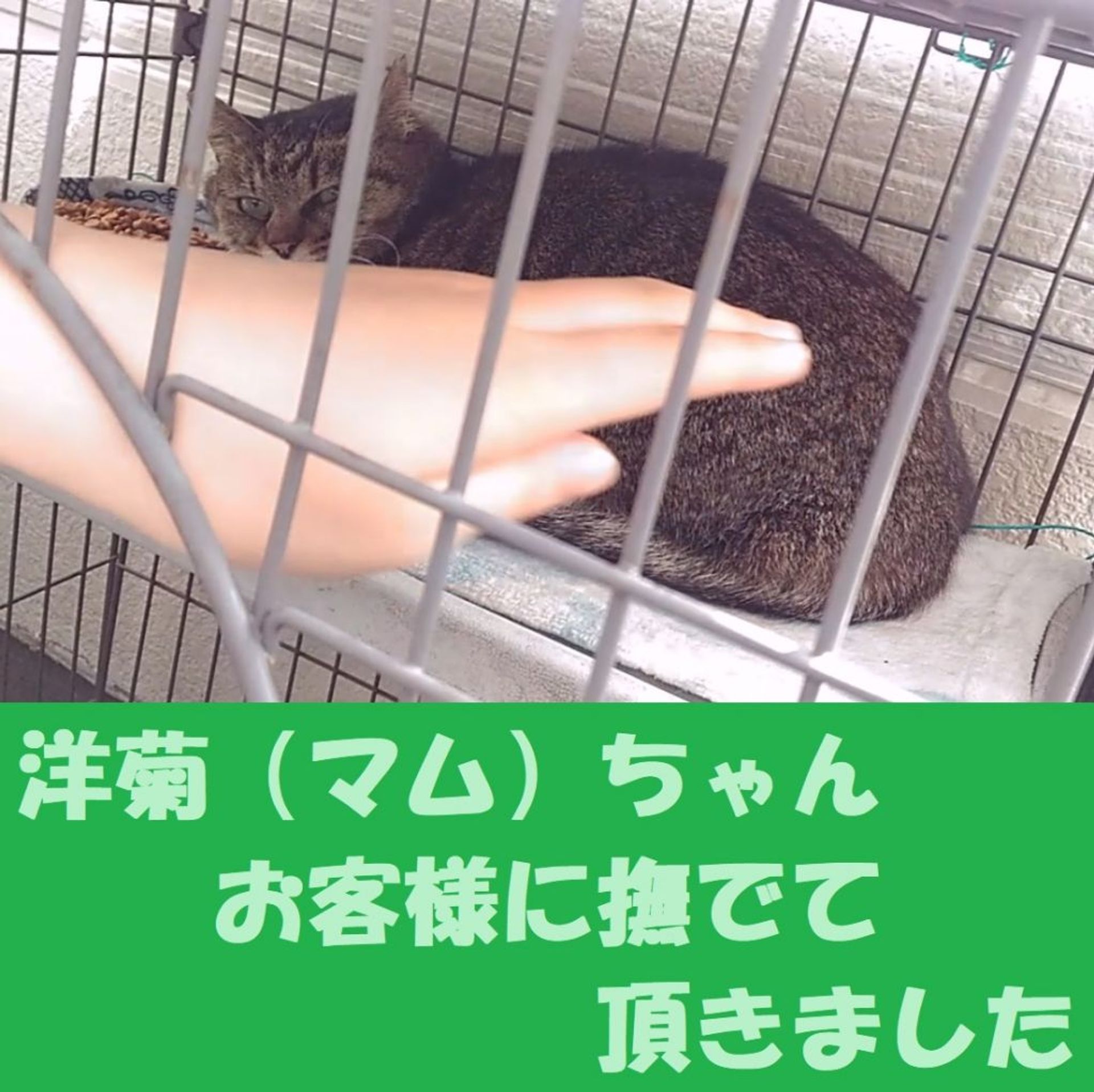 thumbnail-6